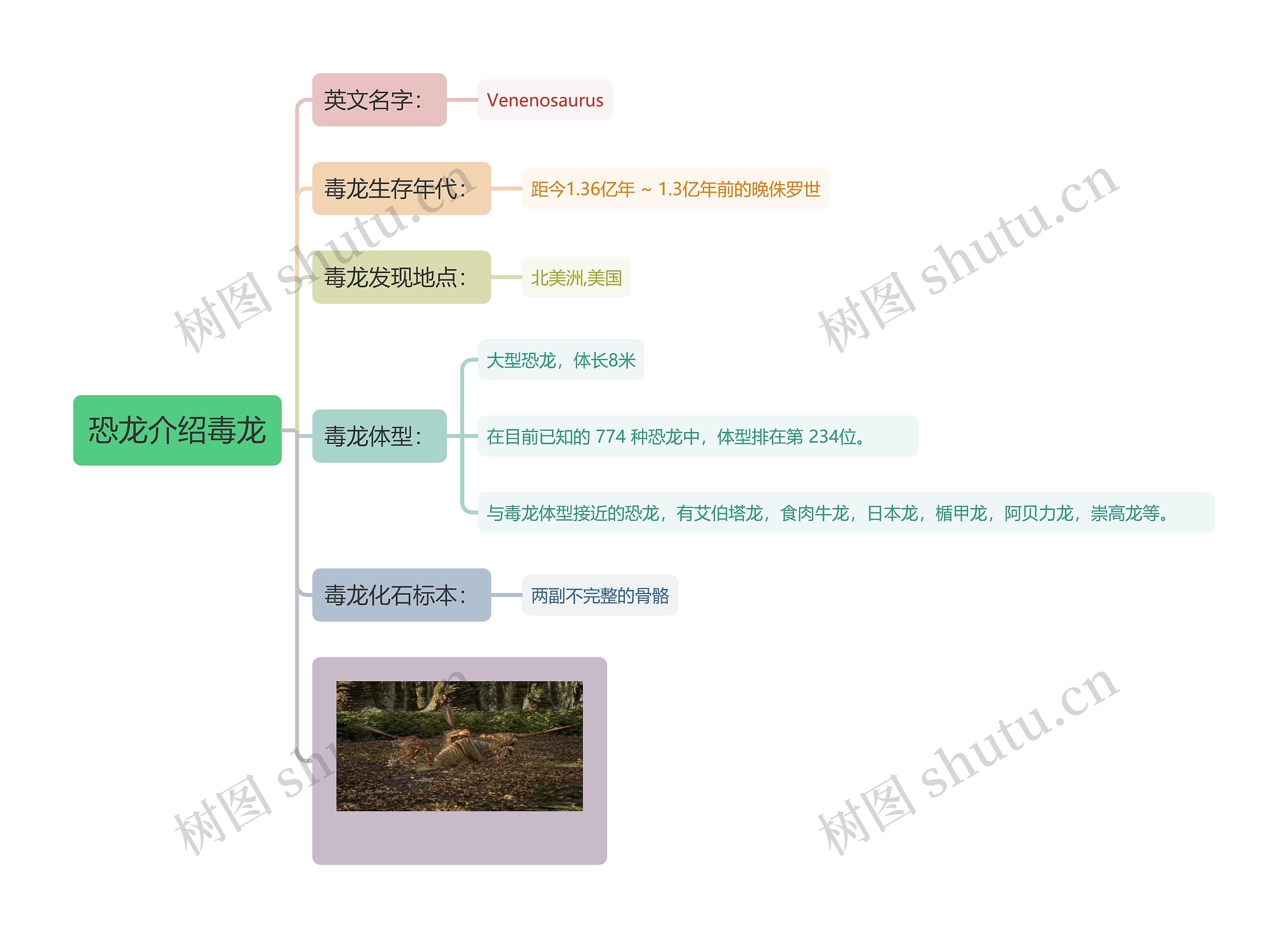 恐龙介绍毒龙思维导图