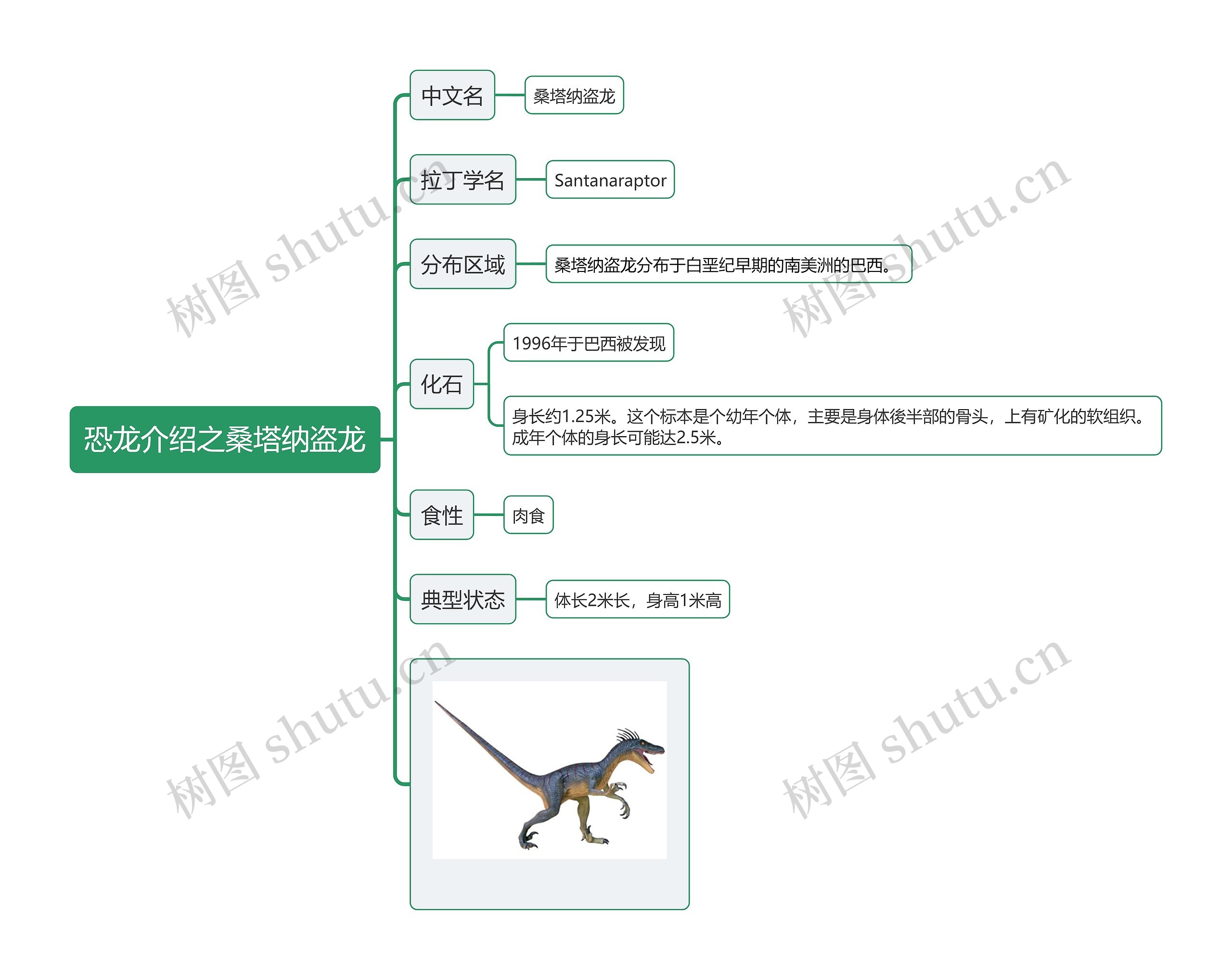 恐龙介绍之桑塔纳盗龙思维导图高清图 恐龙介绍之桑塔纳盗龙思维导图
