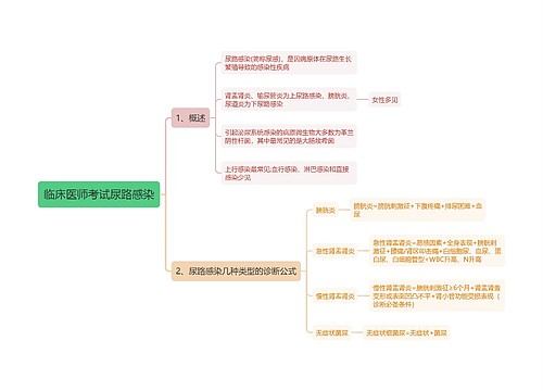 临床医师考试尿路感染思维导图