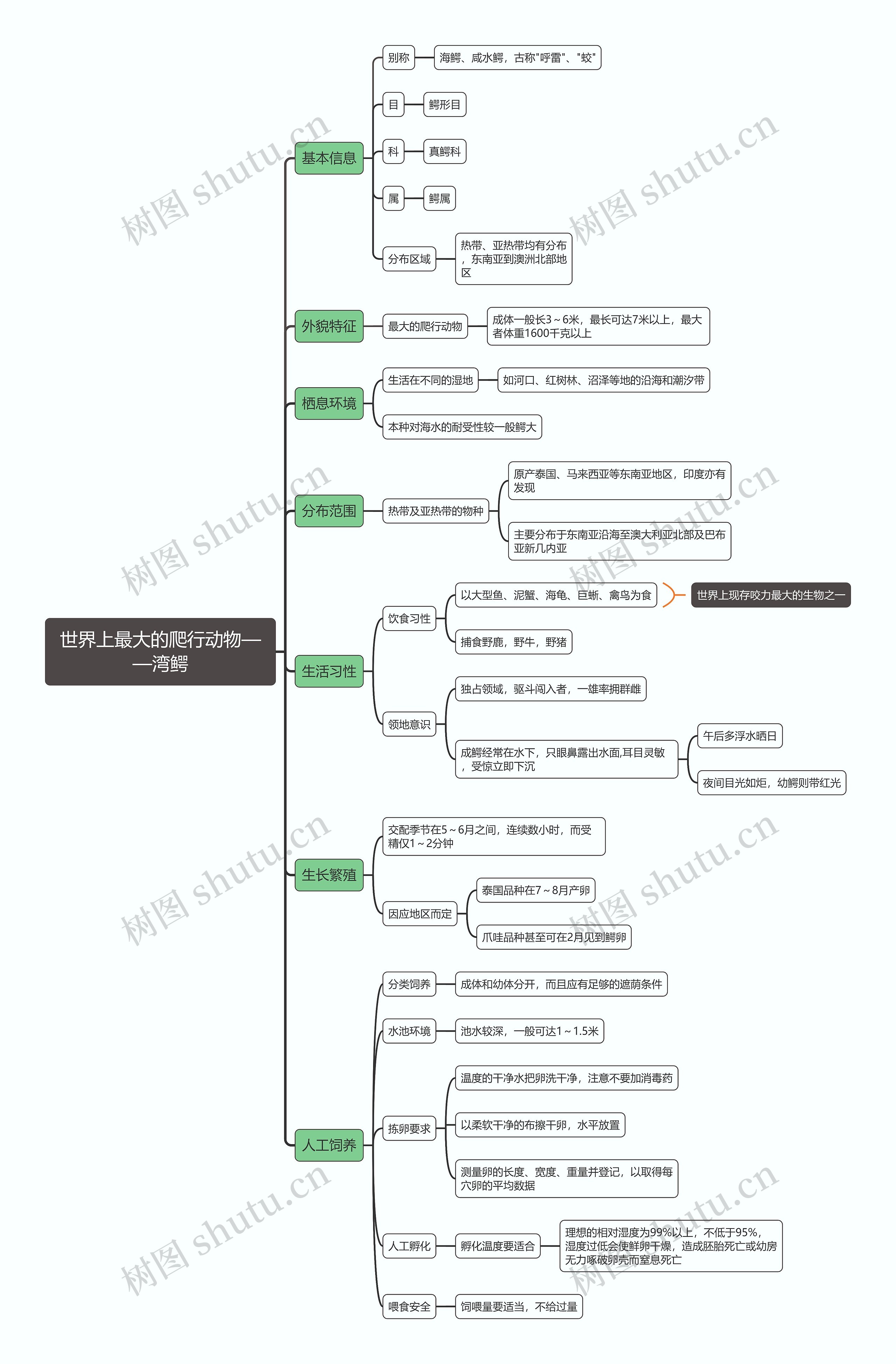 世界上最大的爬行动物——湾鳄思维导图