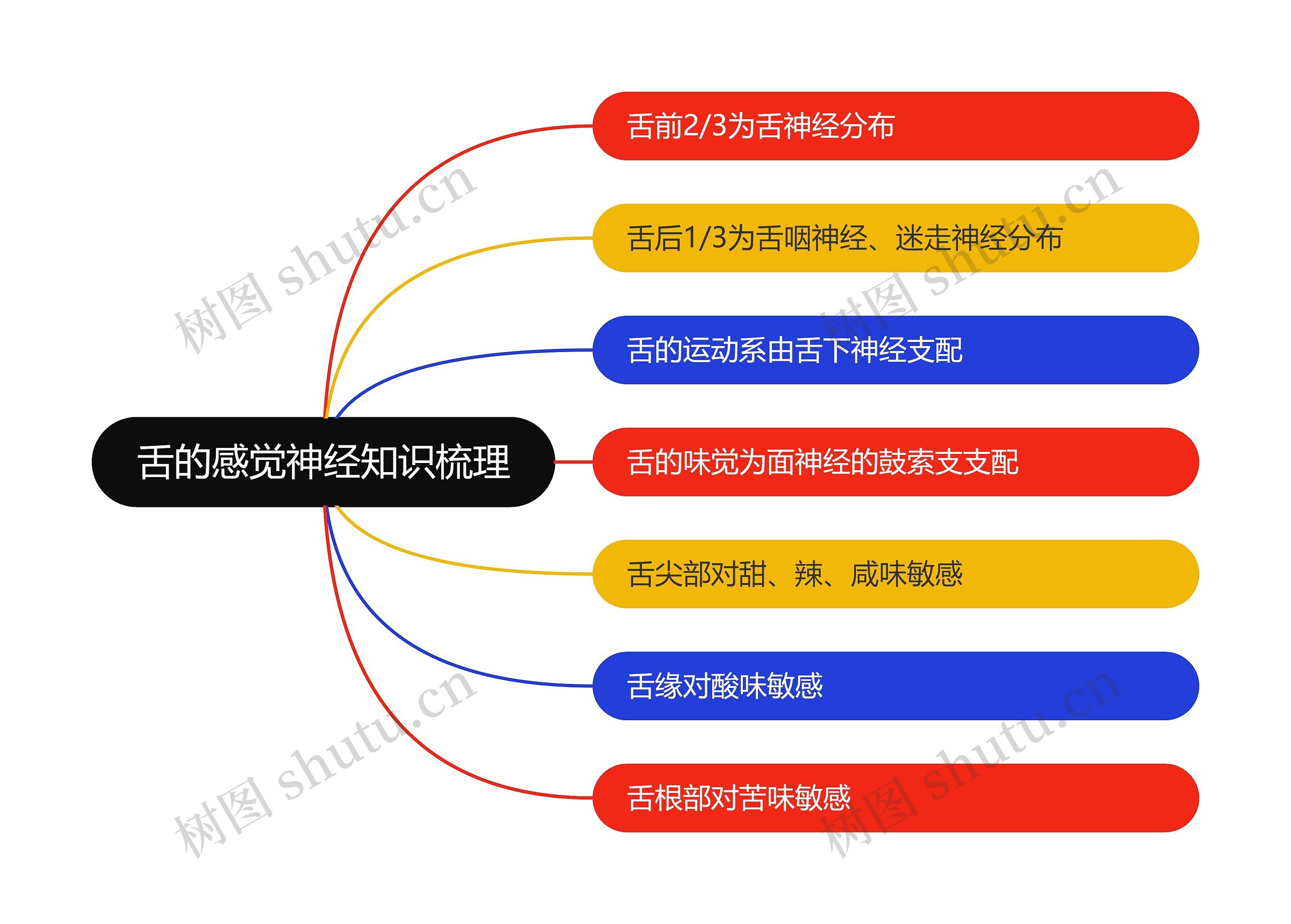 舌的感觉神经知识梳理思维导图