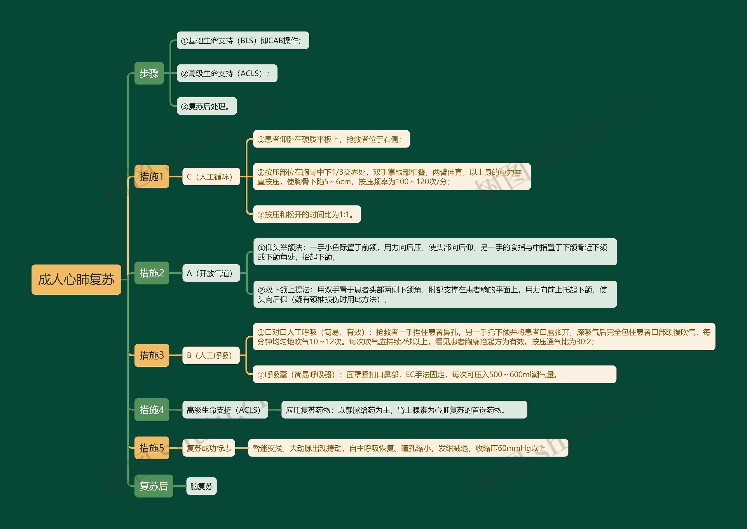 成人心肺复苏知识点