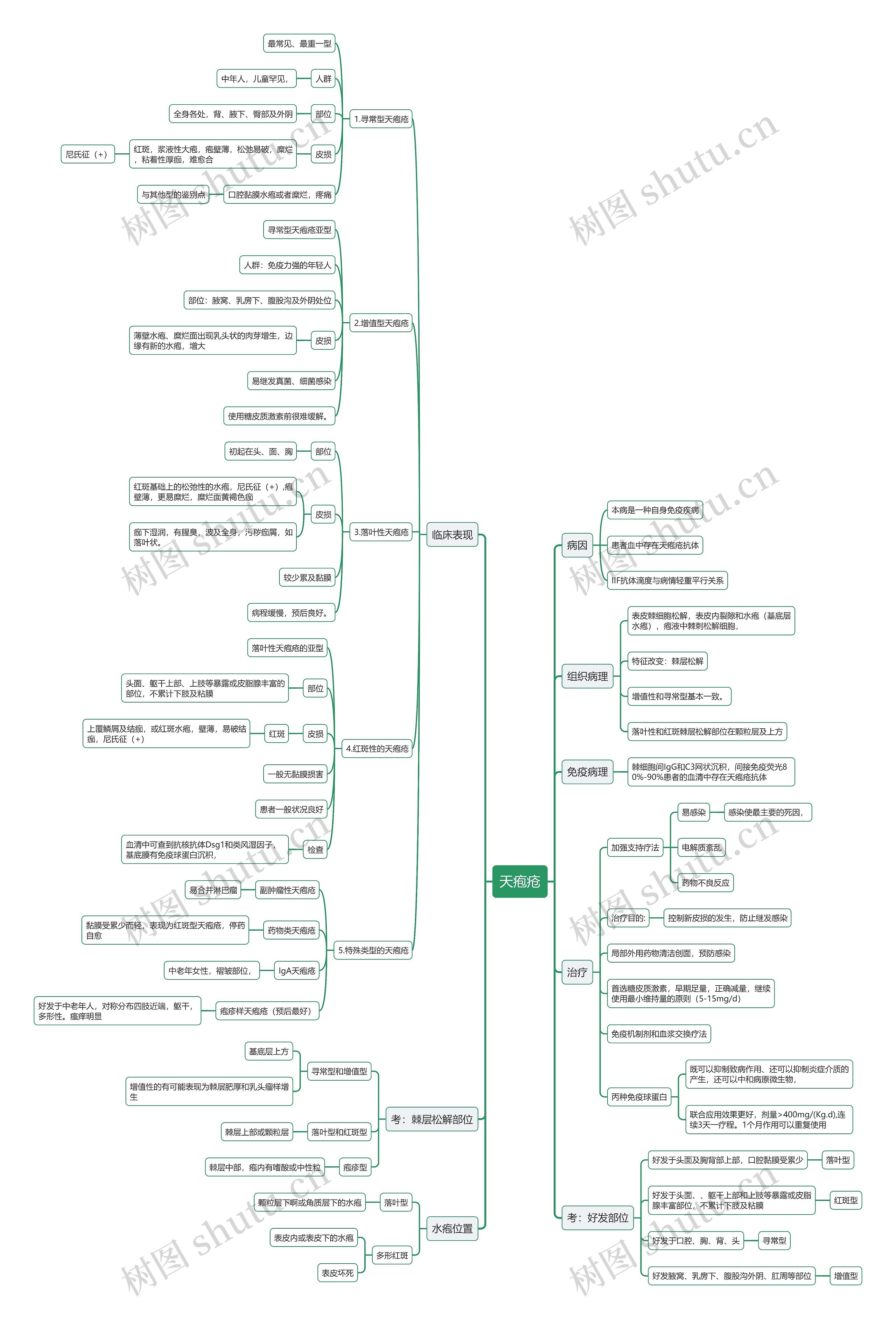 天疱疮思维导图