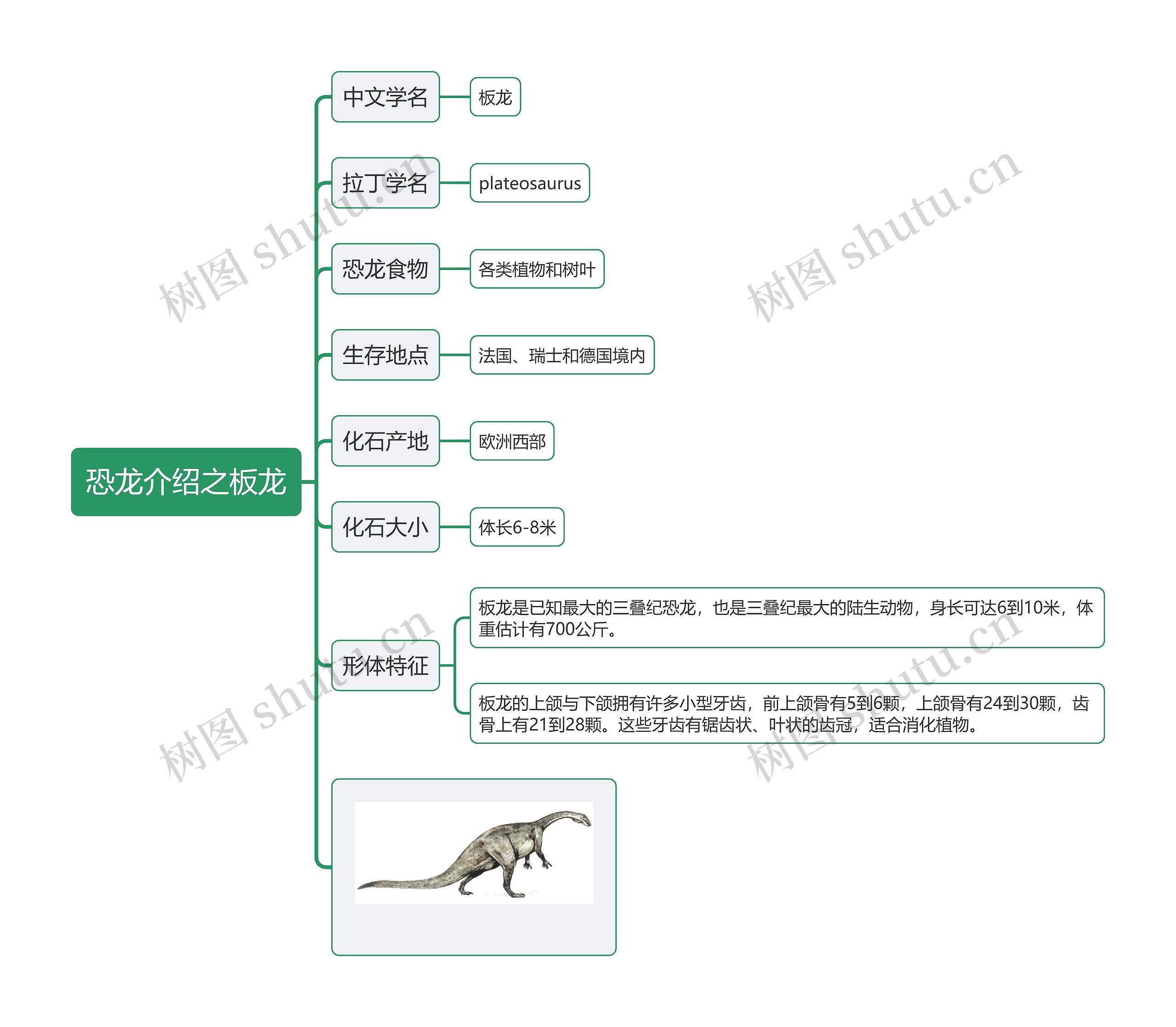 恐龙介绍之板龙思维导图