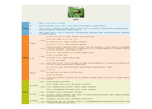 金龟子思维导图
