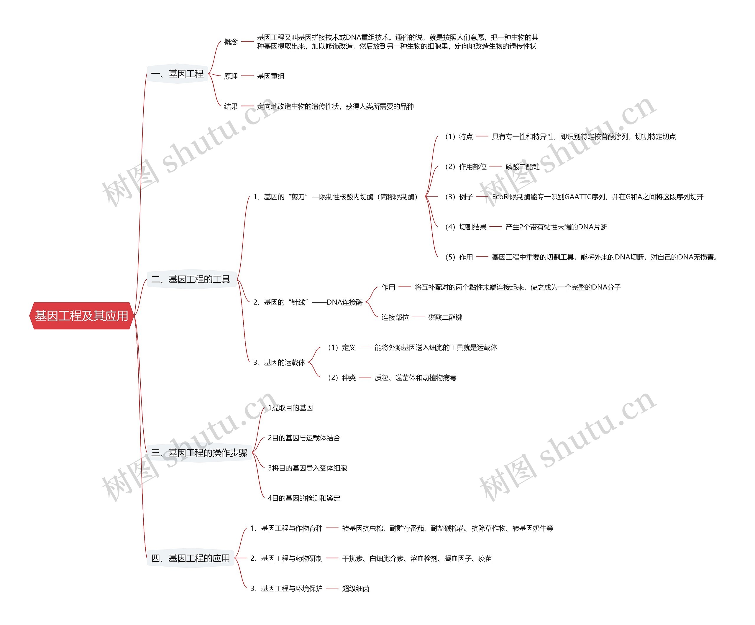 基因工程及其应用思维导图