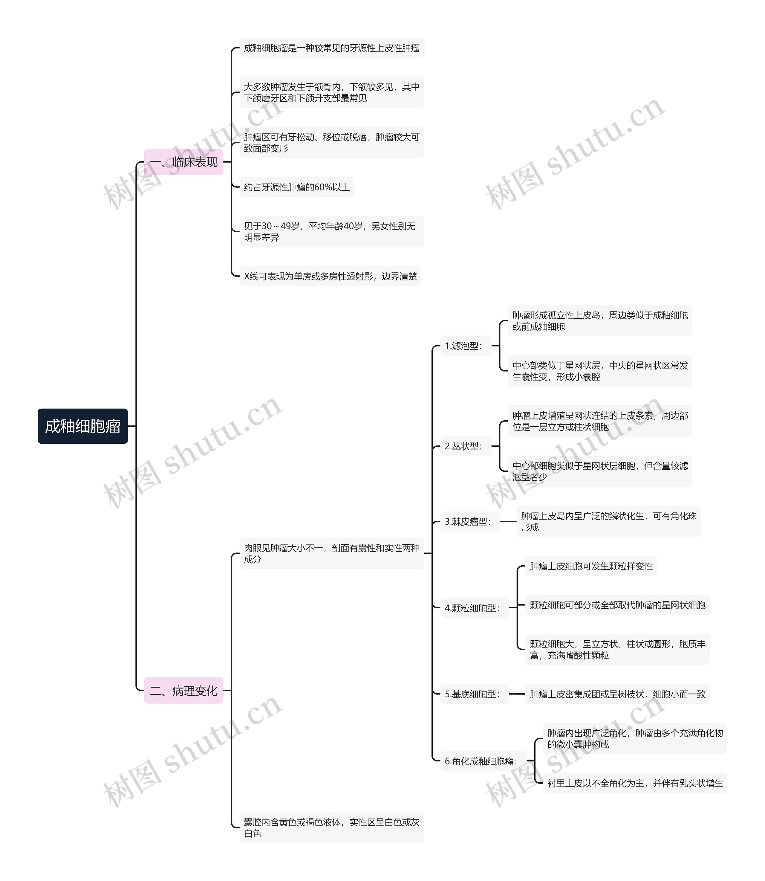 成釉细胞瘤思维导图