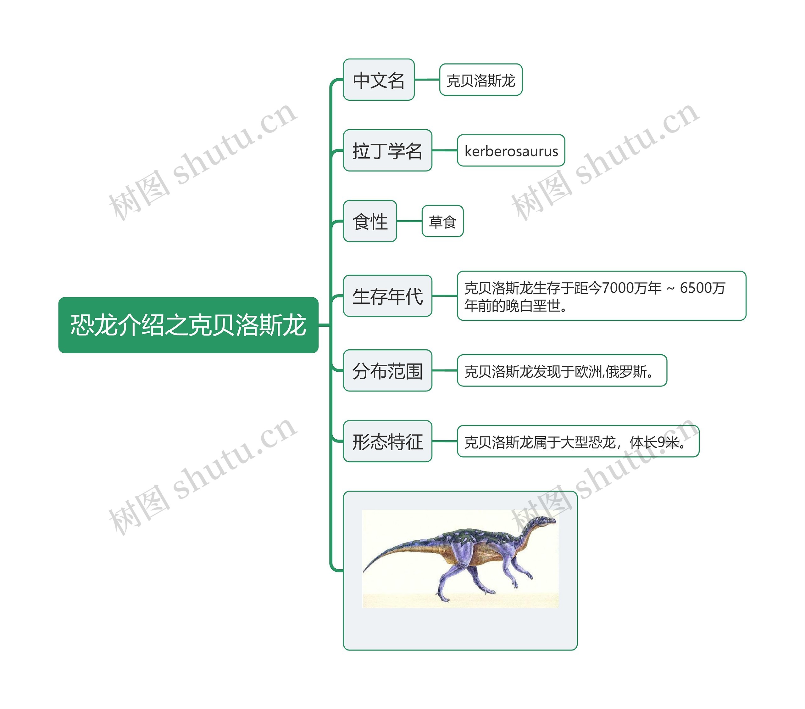 恐龙介绍之克贝洛斯龙思维导图