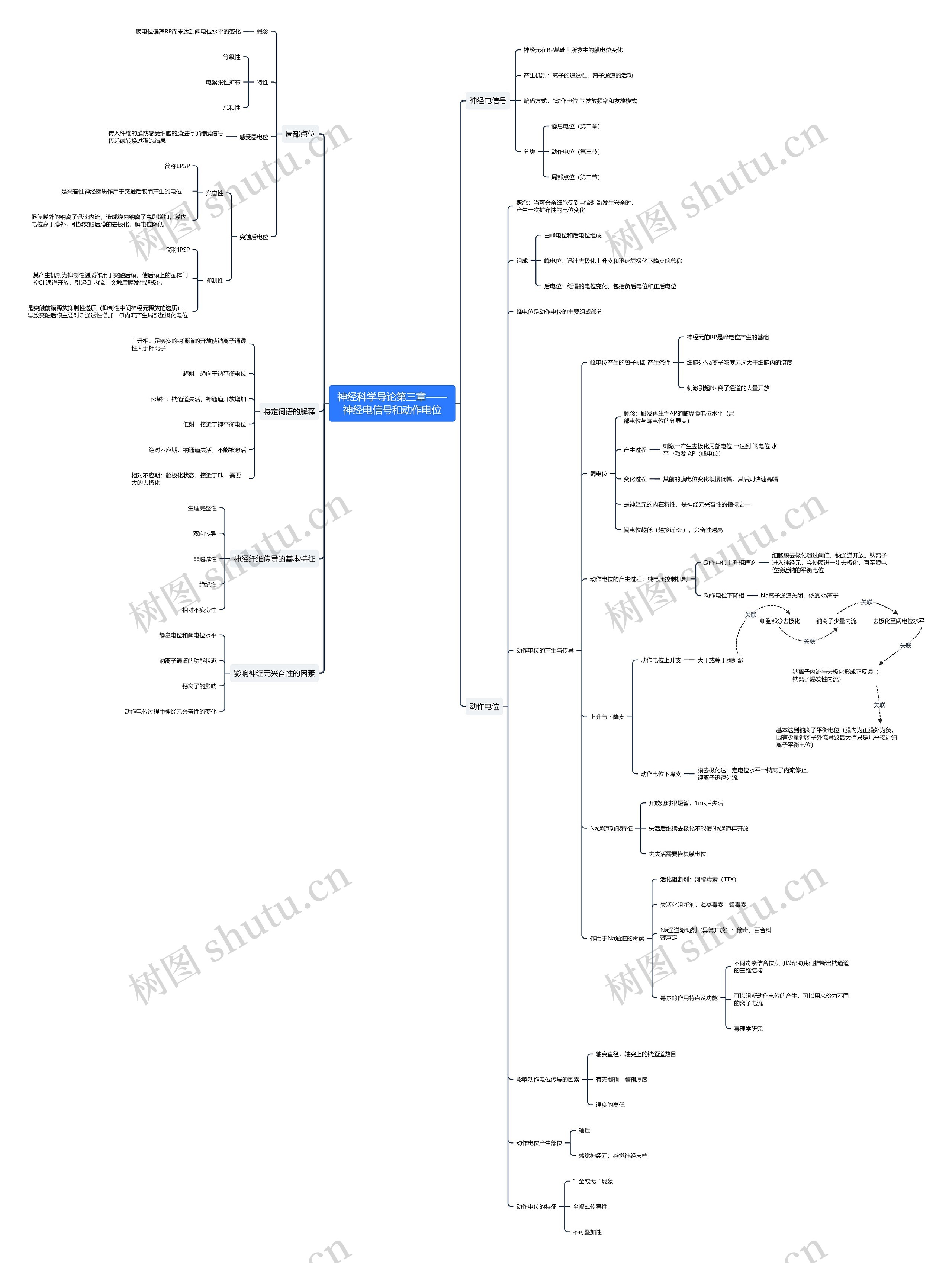 神经科学导论第三章之神经电信号和动作电位思维导图