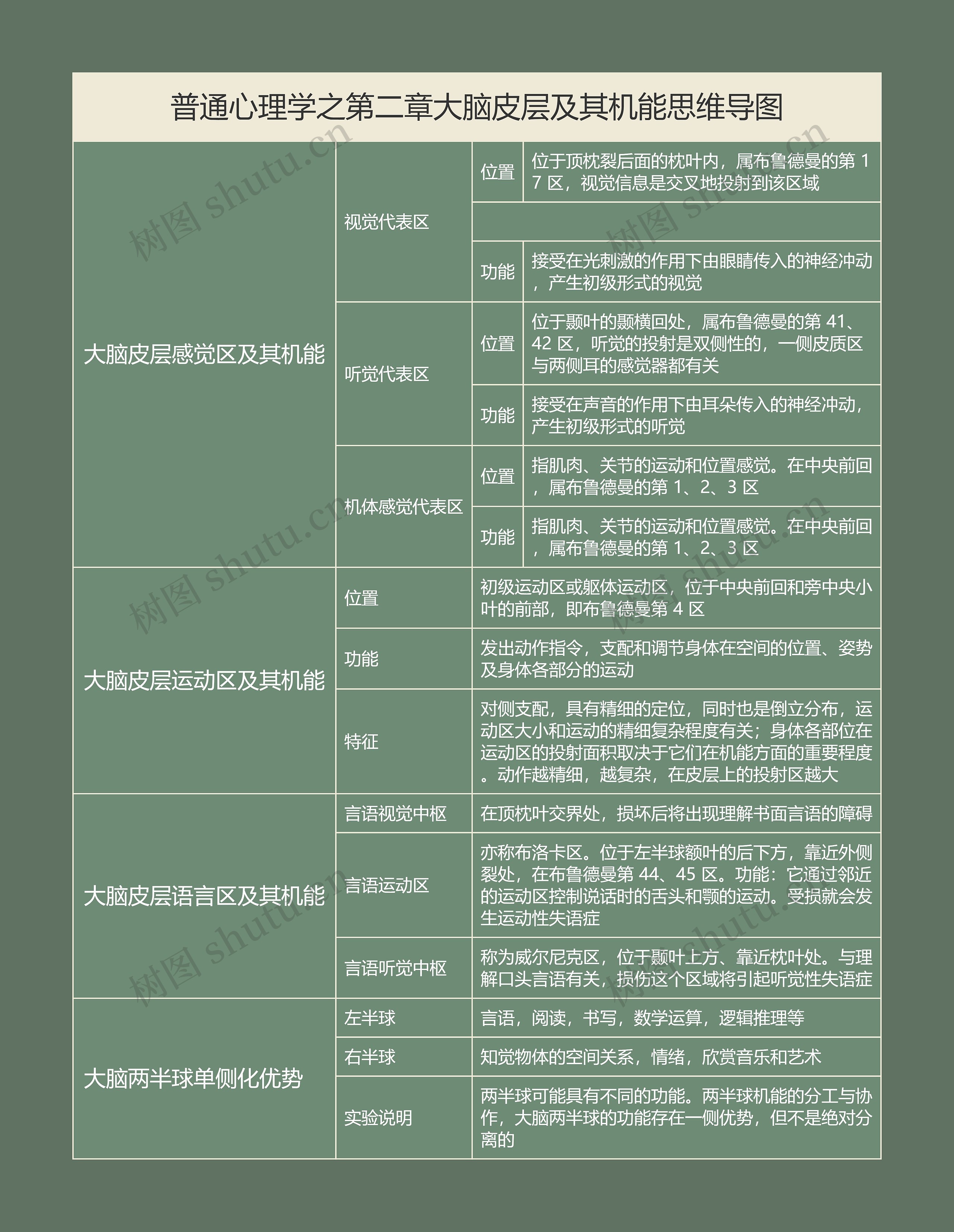 普通心理学之第二章大脑皮层及其机能思维导图