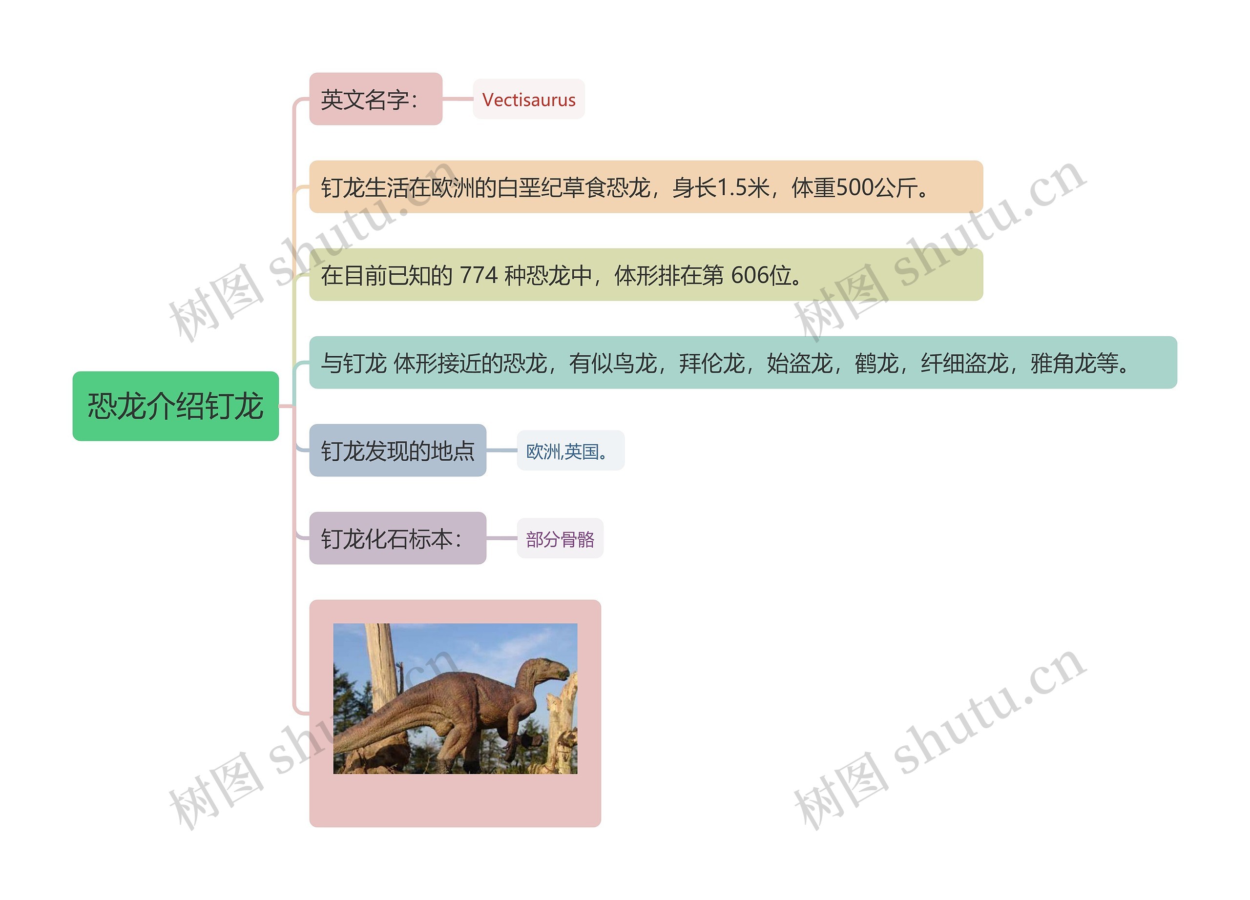 恐龙介绍钉龙