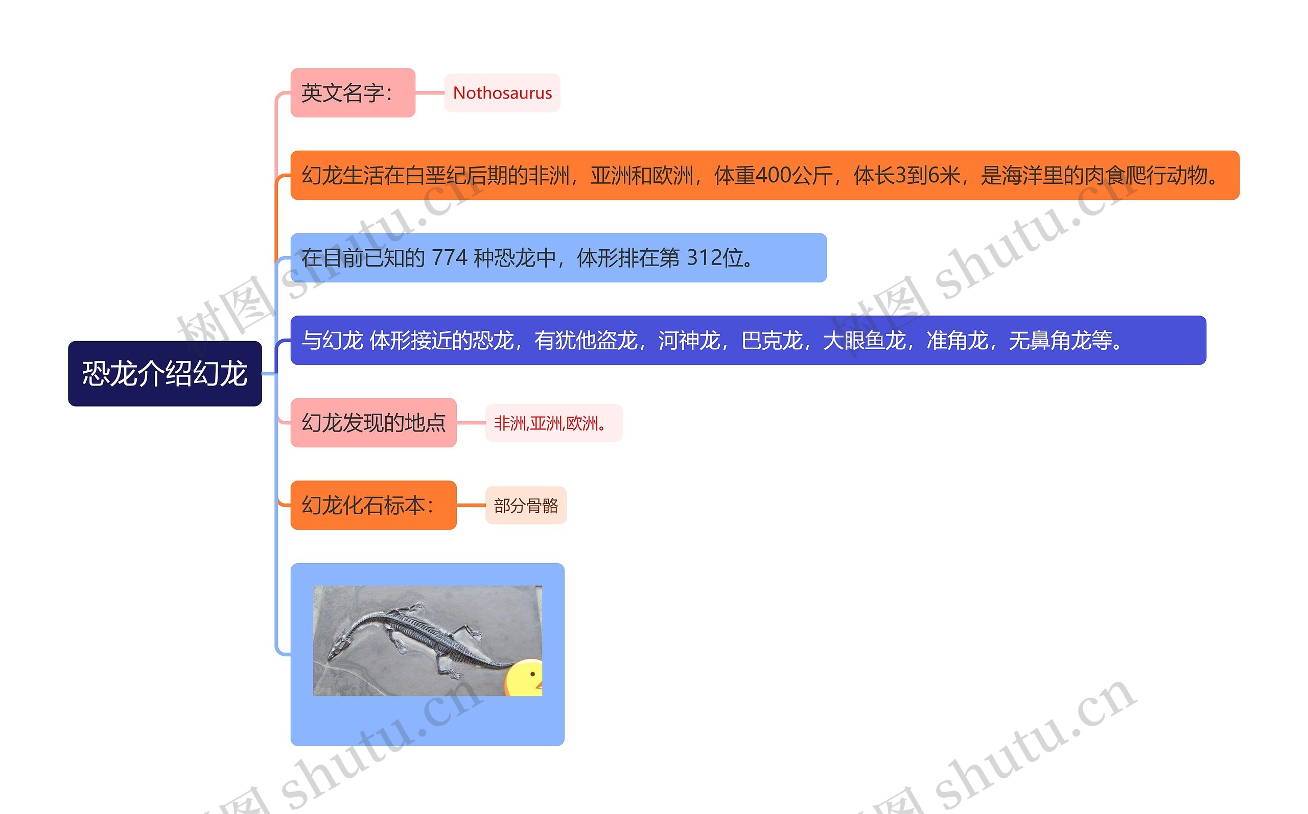 恐龙介绍幻龙