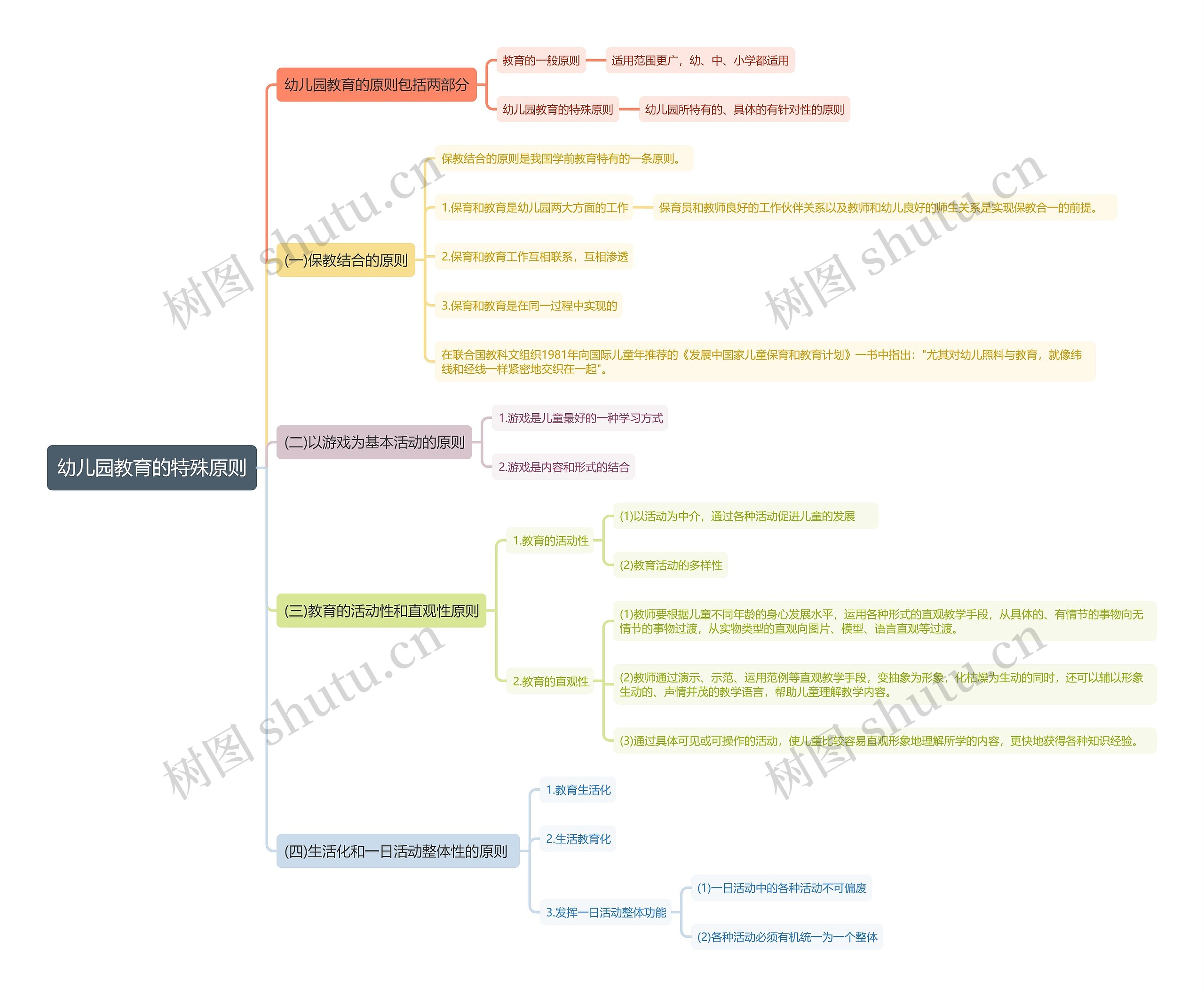 幼儿园教育的特殊原则思维导图