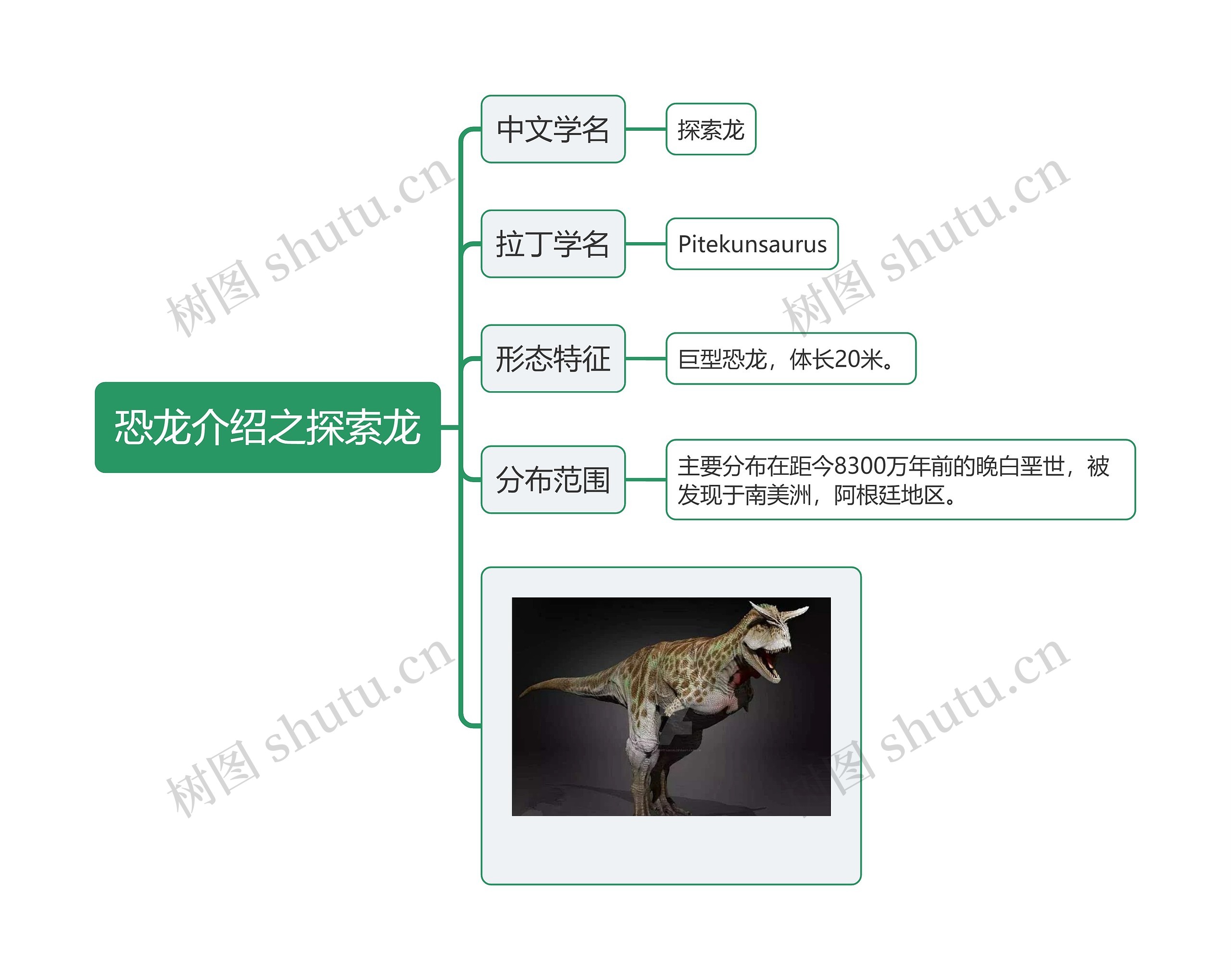 恐龙介绍之探索龙思维导图