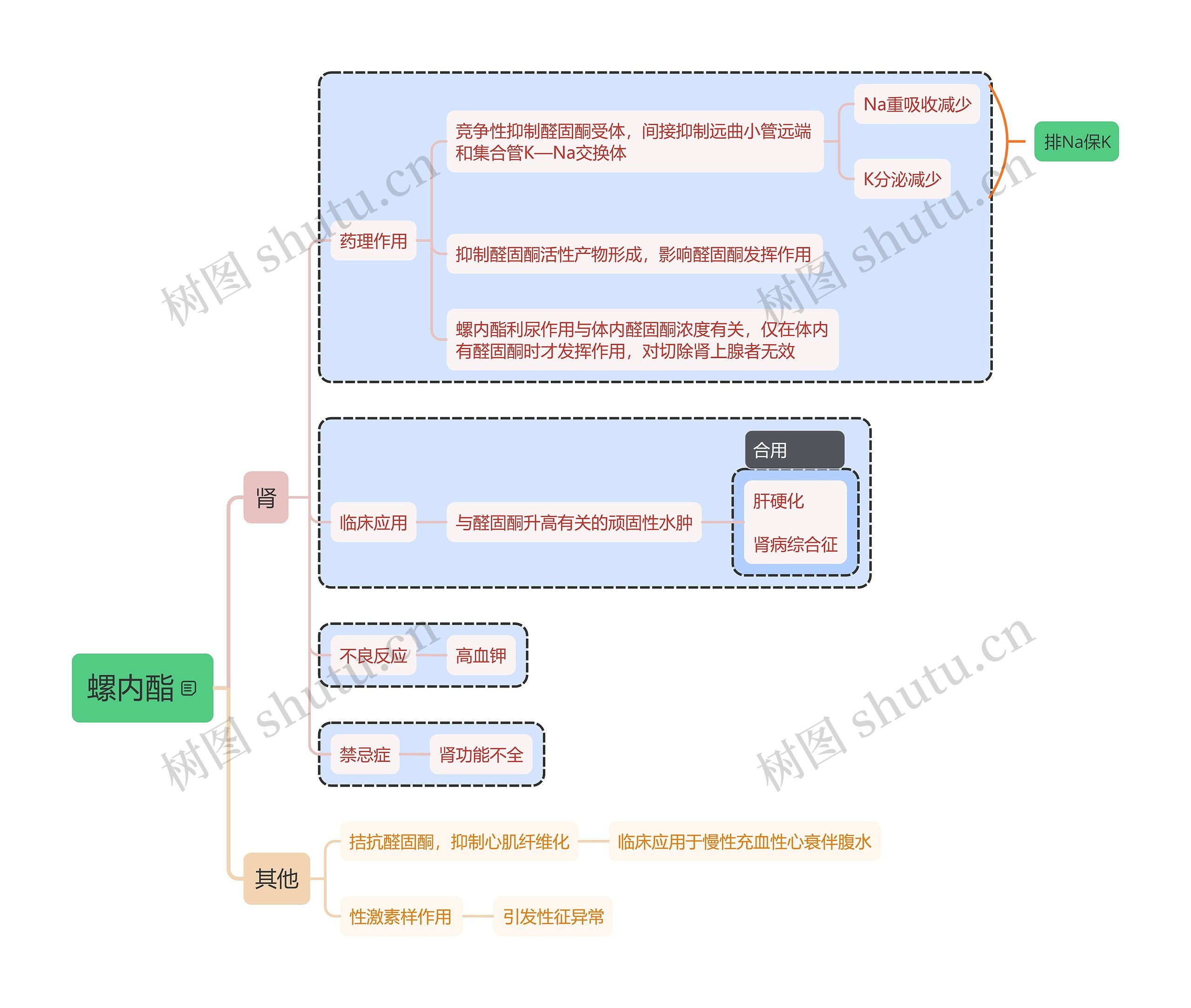 螺内酯思维导图高清图 螺内酯思维导图