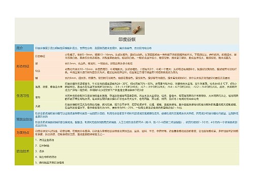 印度谷螟思维导图