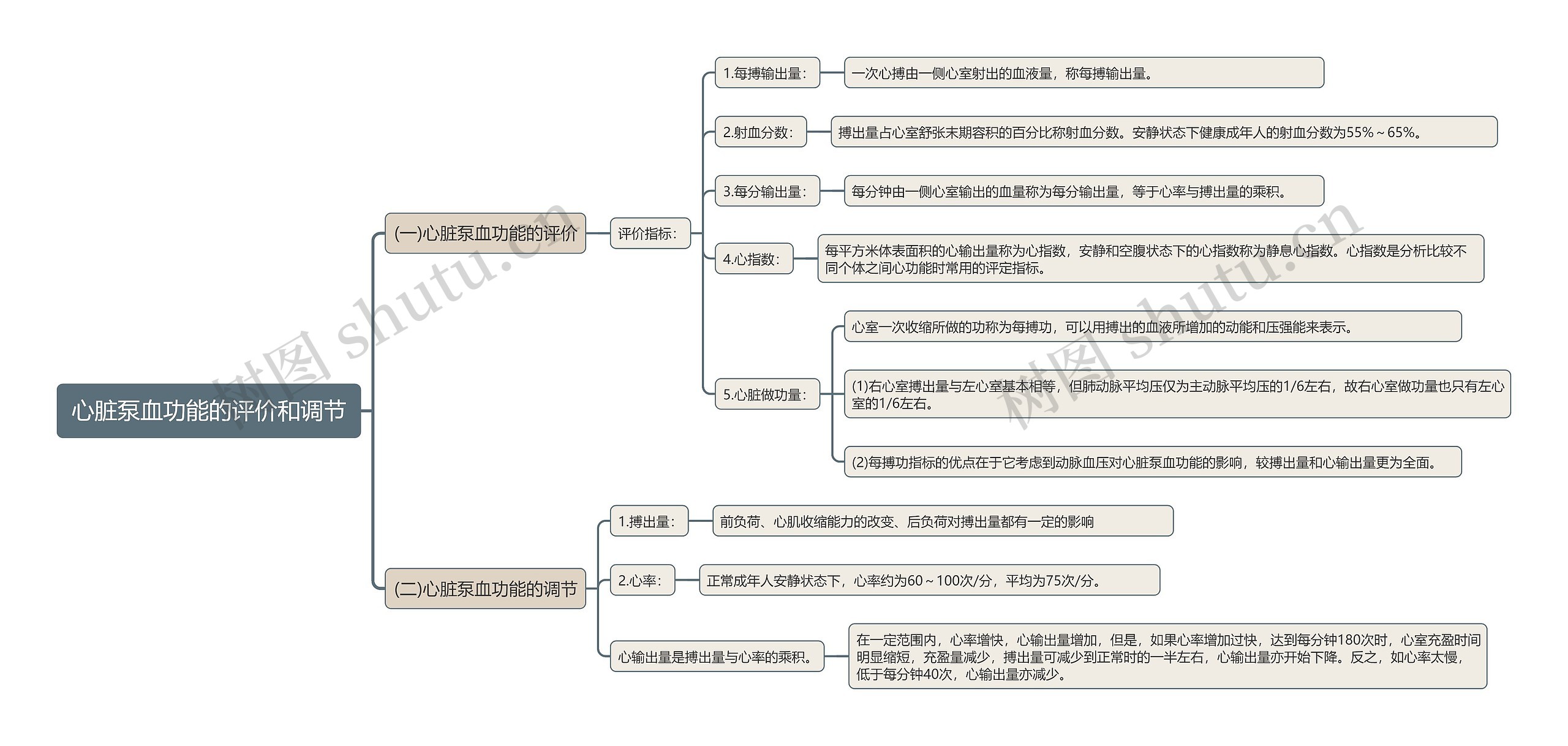 心脏泵血功能的评价和调节思维导图