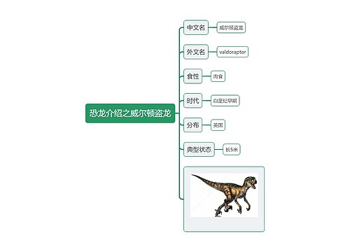恐龙介绍之威尔顿盗龙思维导图