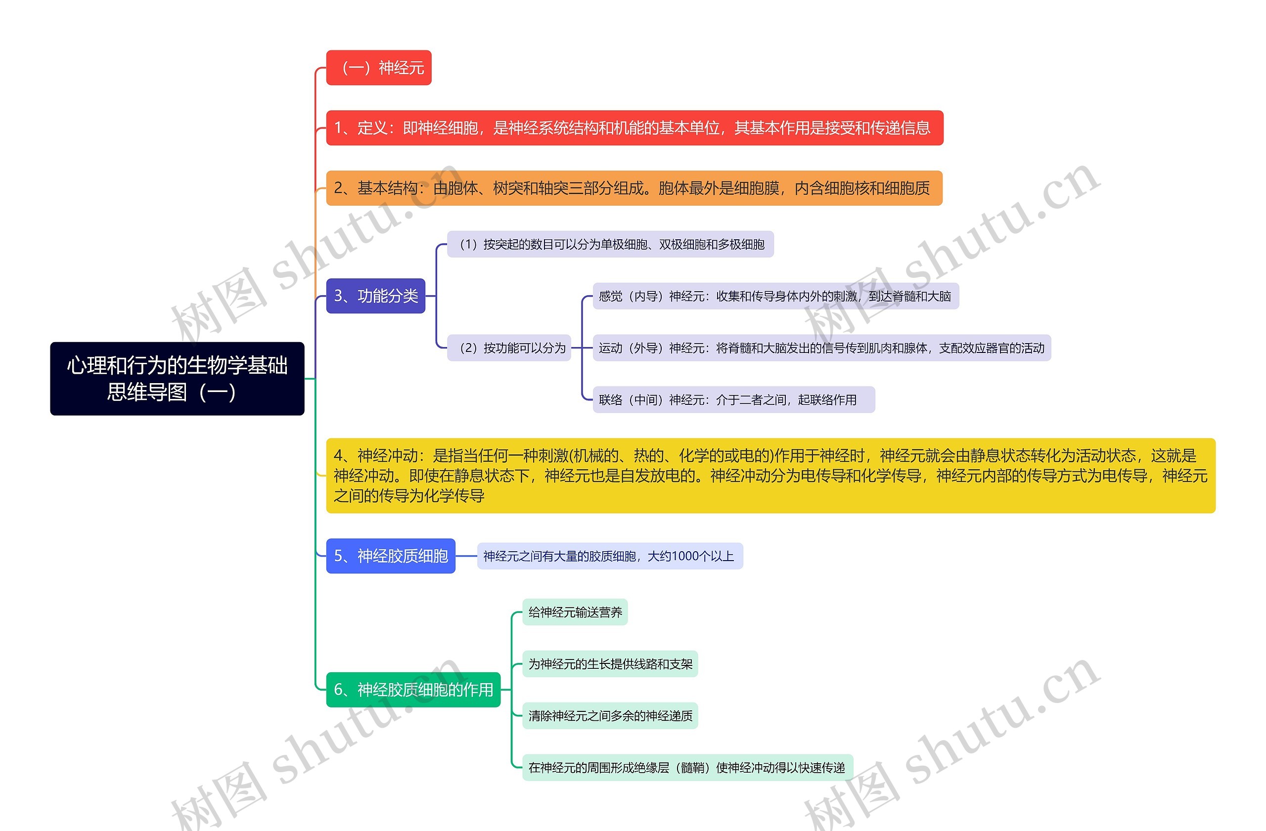 心理和行为的生物学基础思维导图（一）
