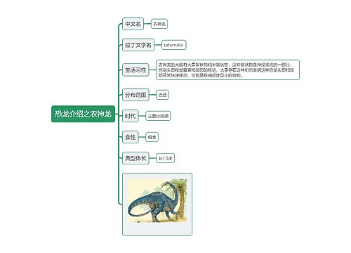 恐龙介绍之农神龙思维导图