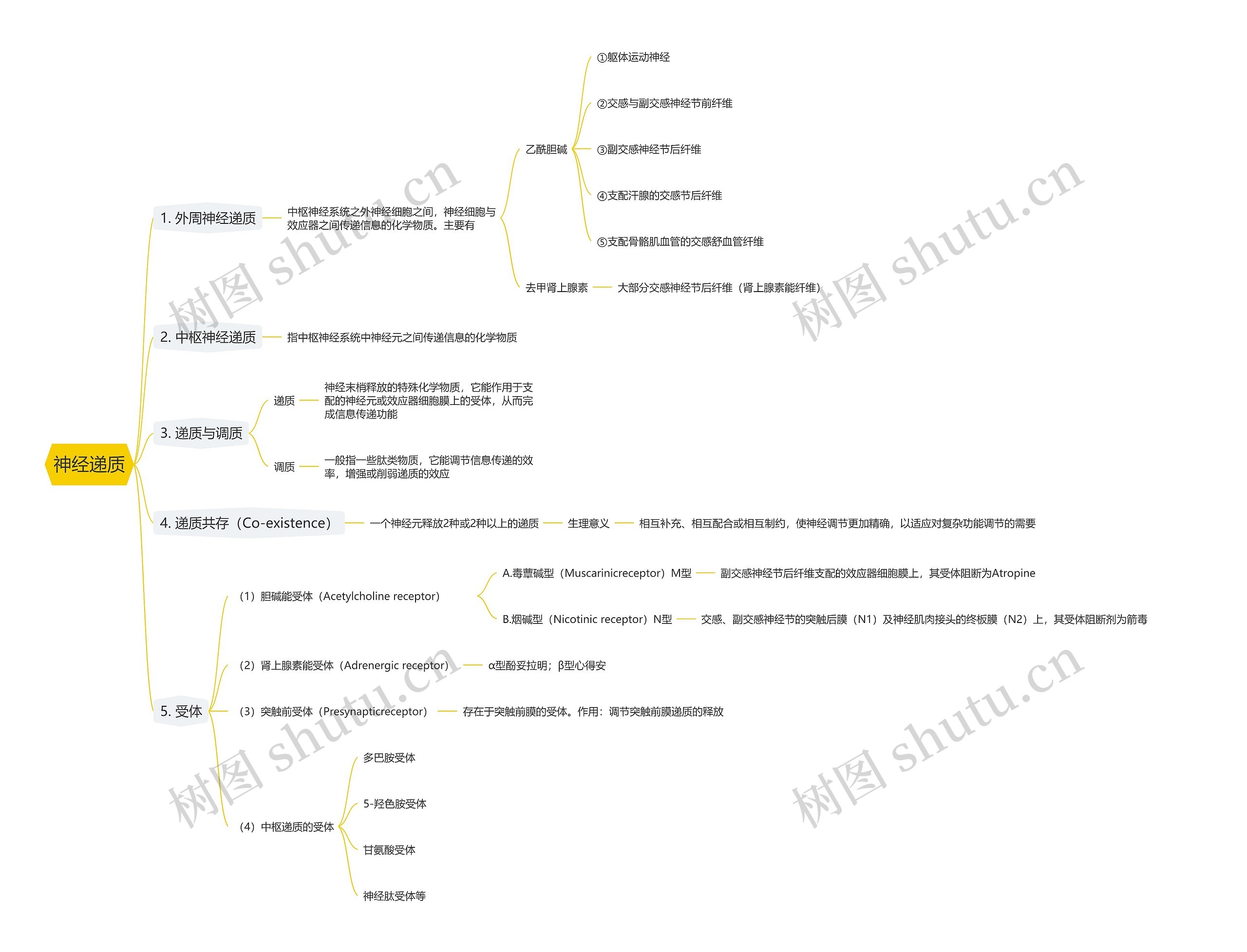 神经递质思维导图