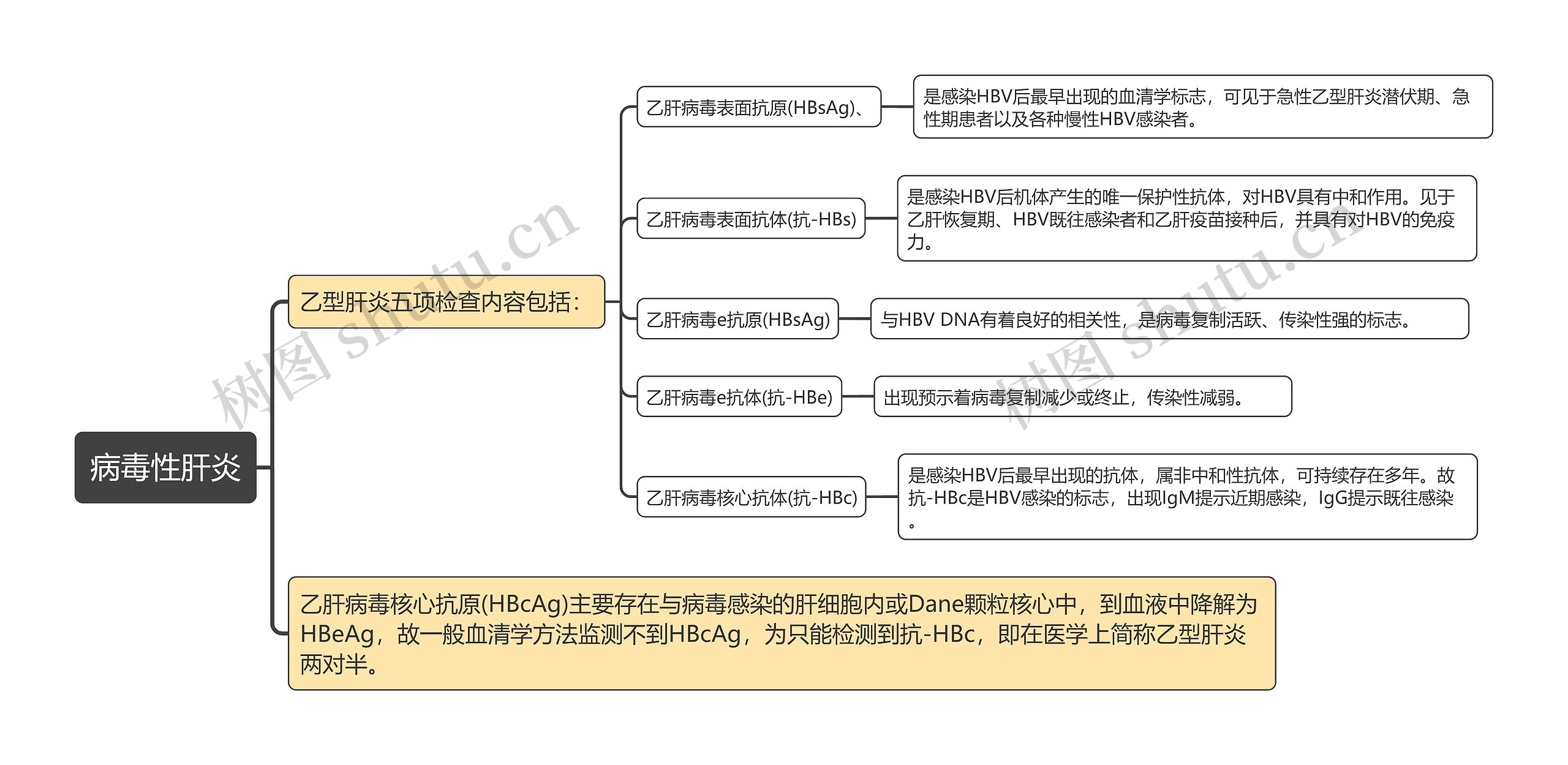 病毒性肝炎知识点思维导图