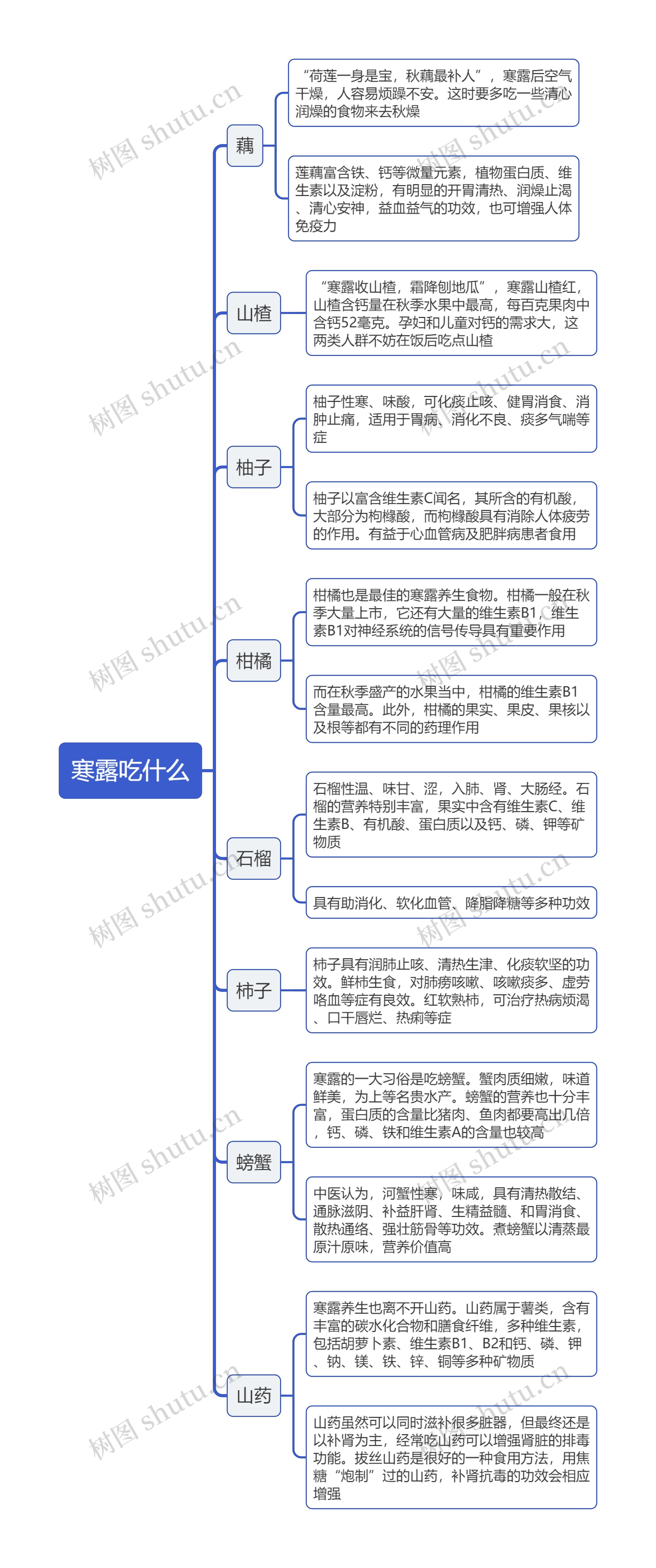 寒露吃什么思维导图