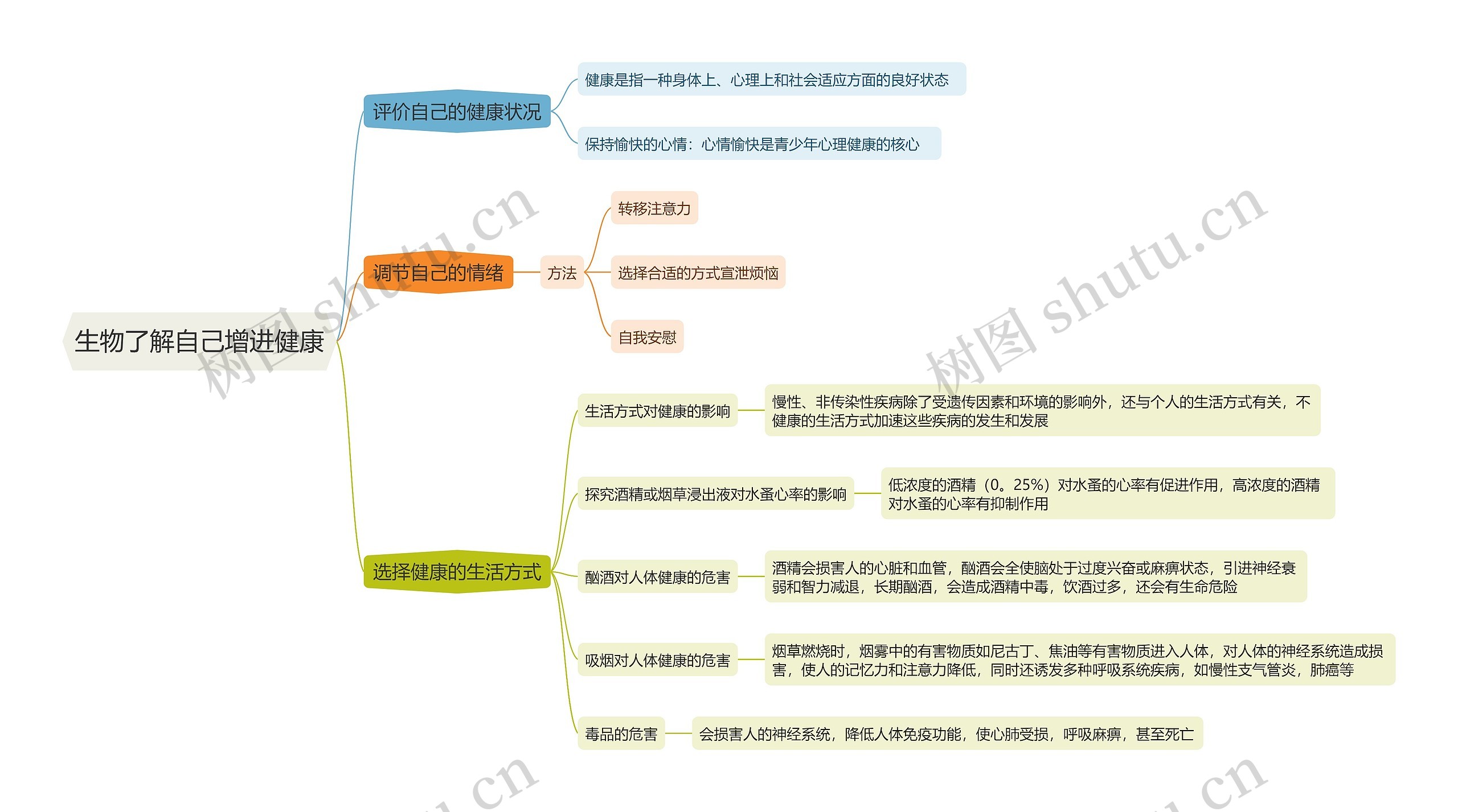 生物了解自己增进健康思维导图