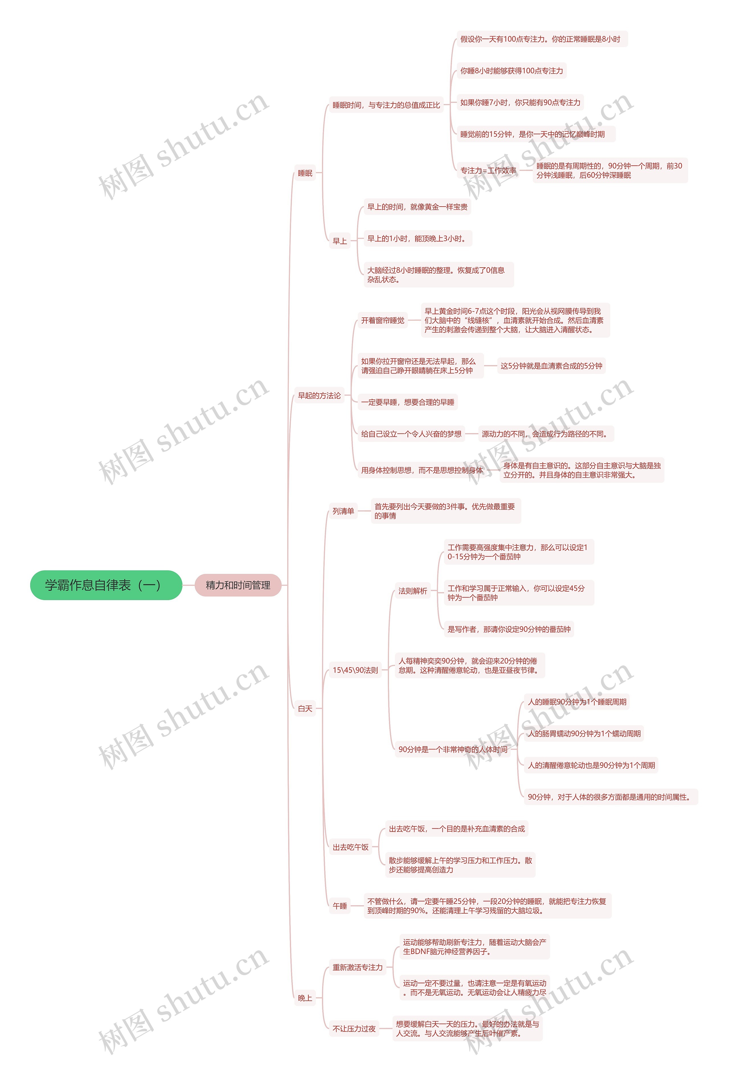 学霸作息自律表（一）思维导图