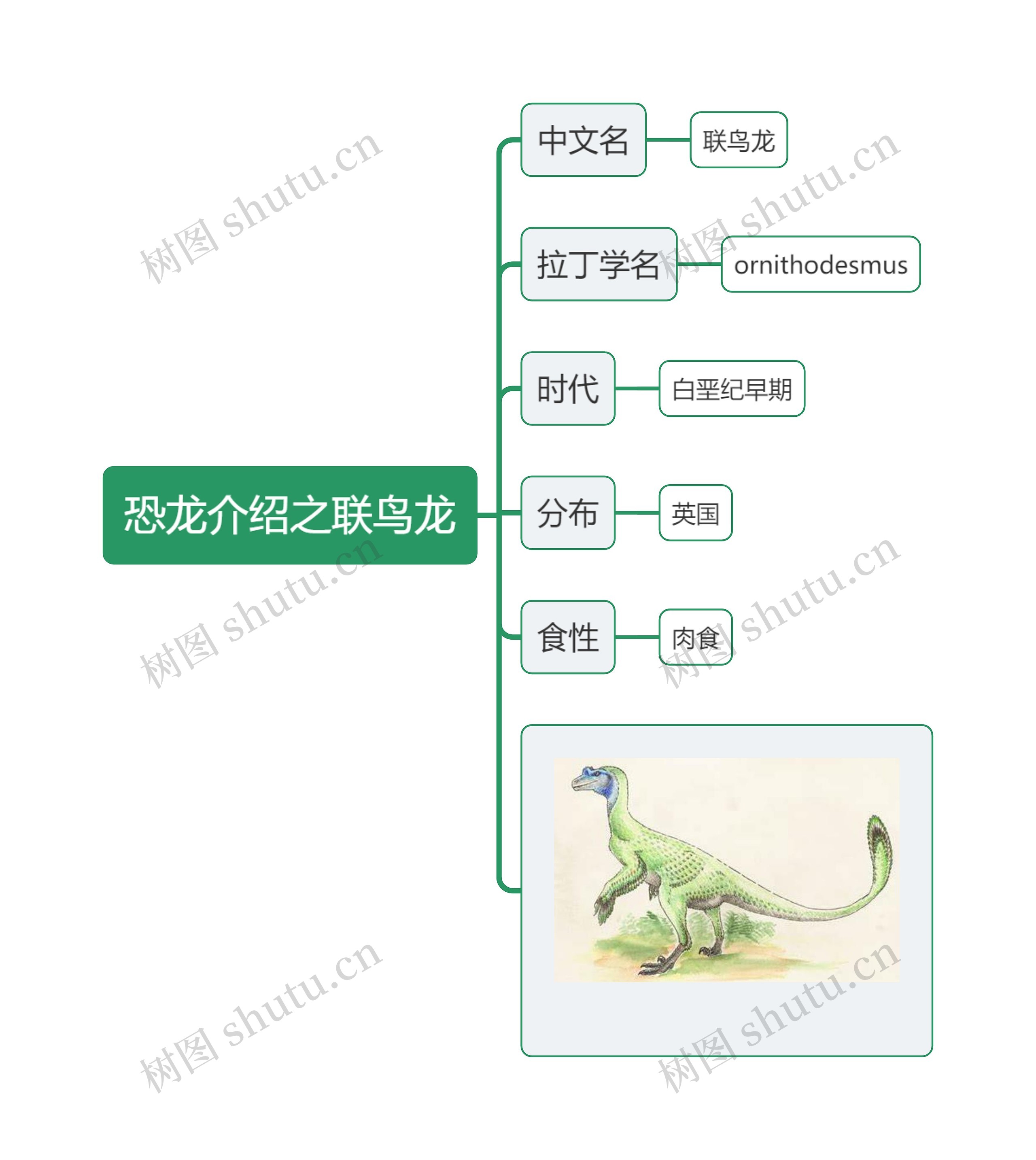 恐龙介绍之联鸟龙思维导图