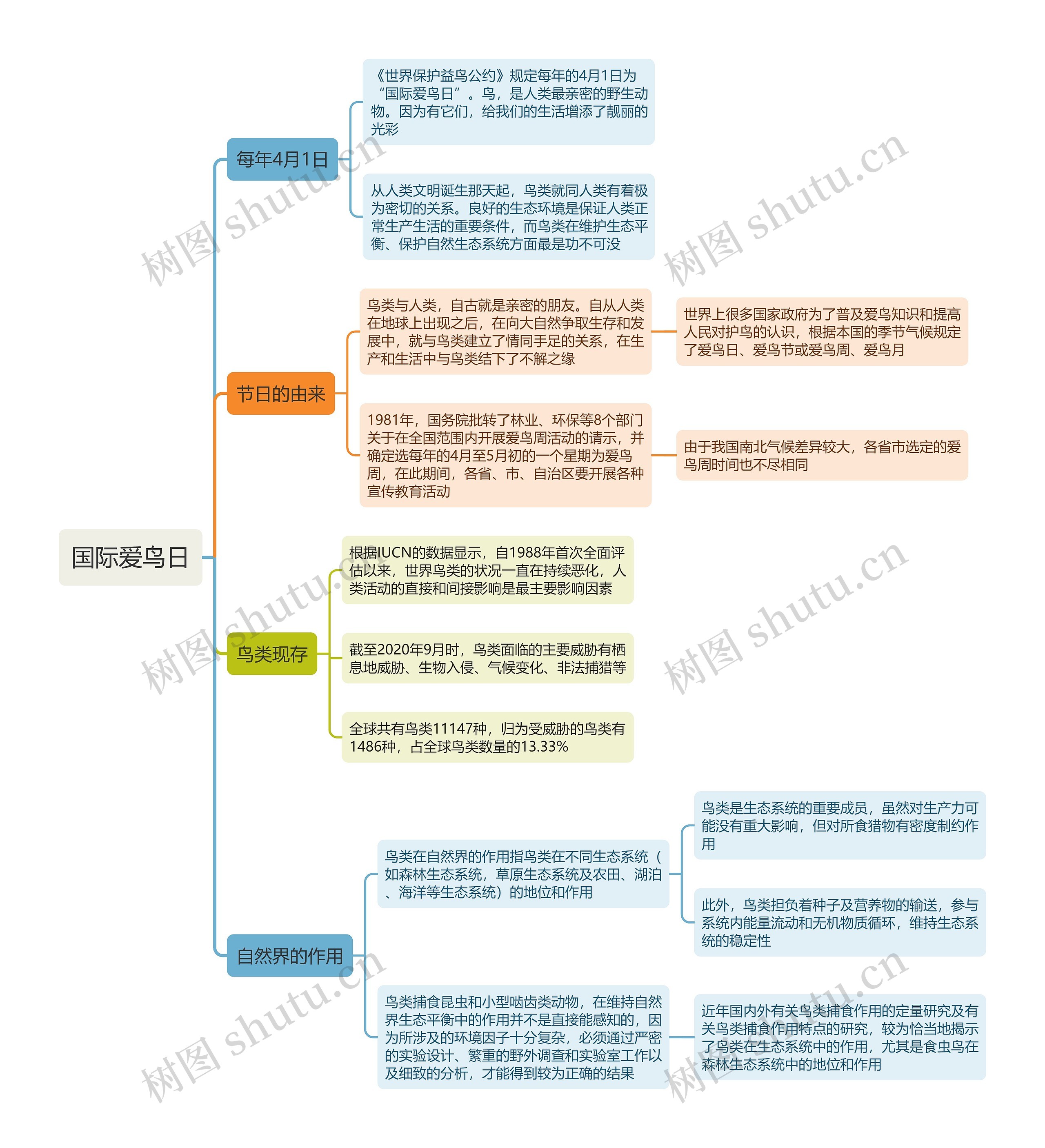 国际爱鸟日思维导图