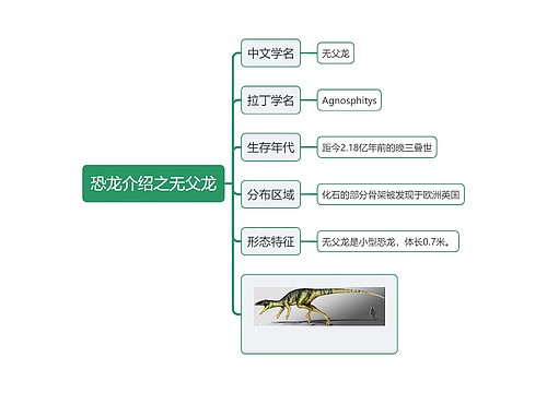 恐龙介绍之无父龙思维导图