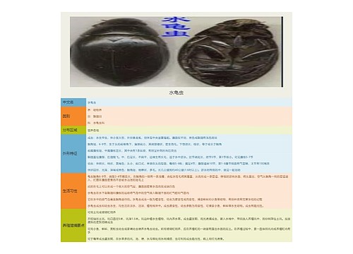 水龟虫思维导图