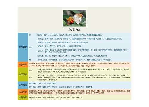 鹤顶粉蝶思维导图