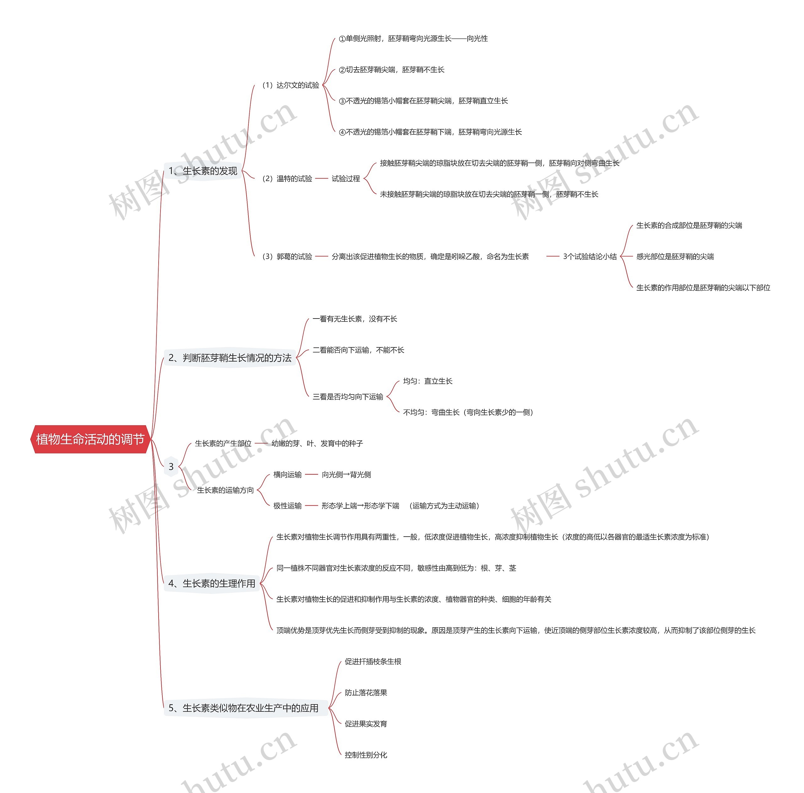 植物生命活动的调节思维导图