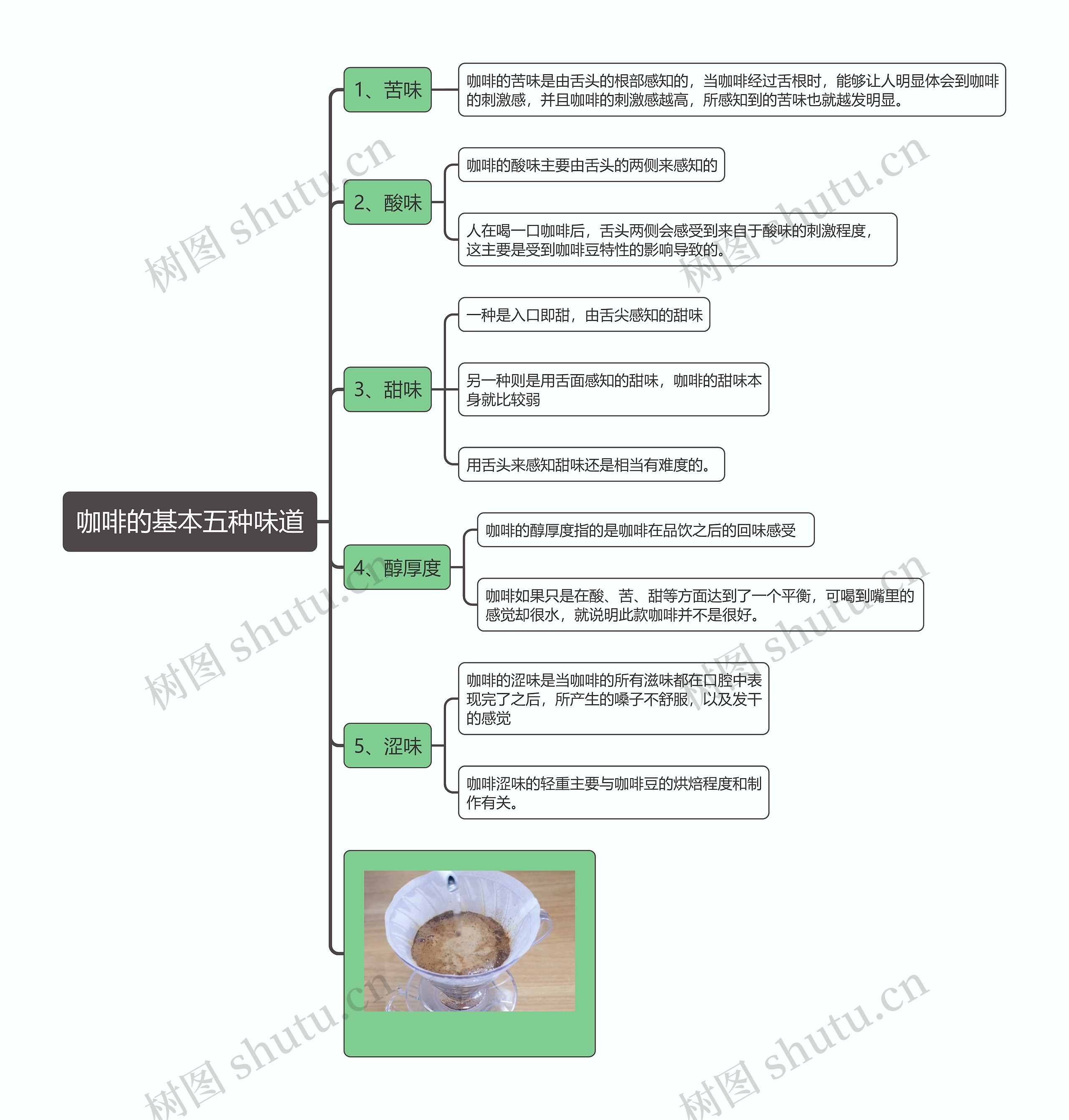 咖啡的基本五种味道思维导图