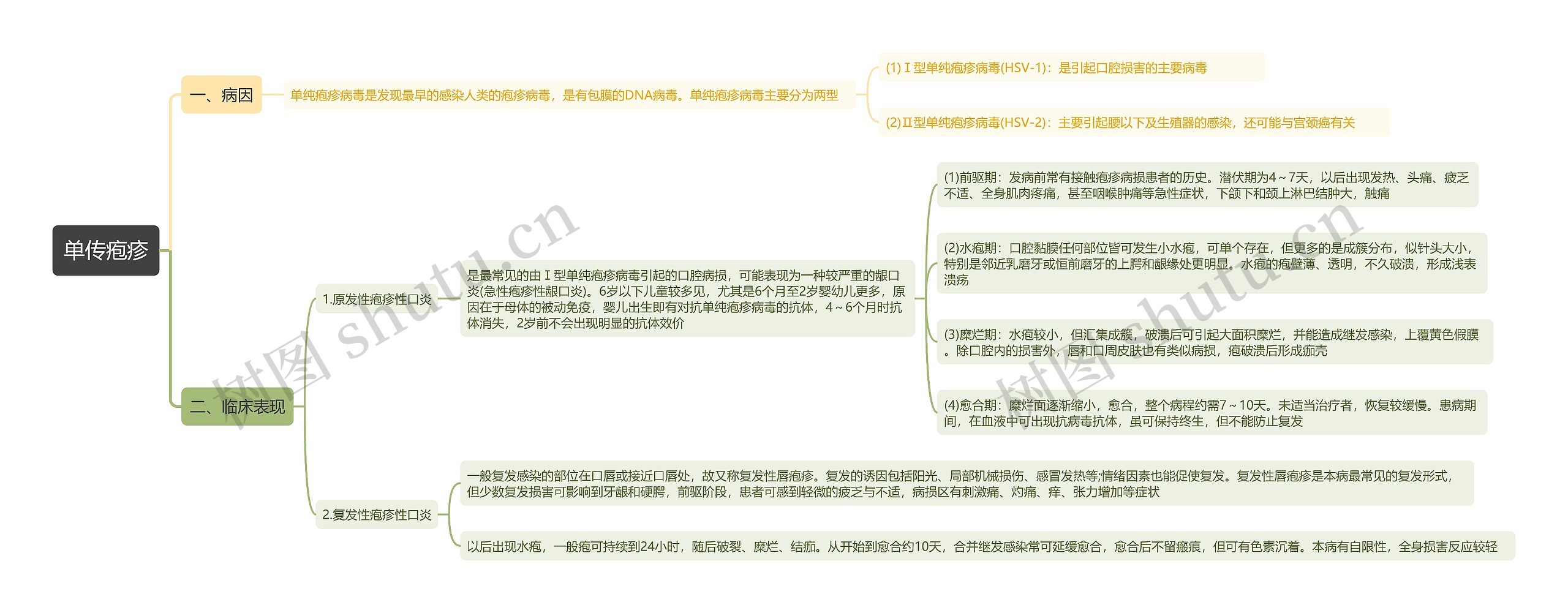 单传疱疹思维导图