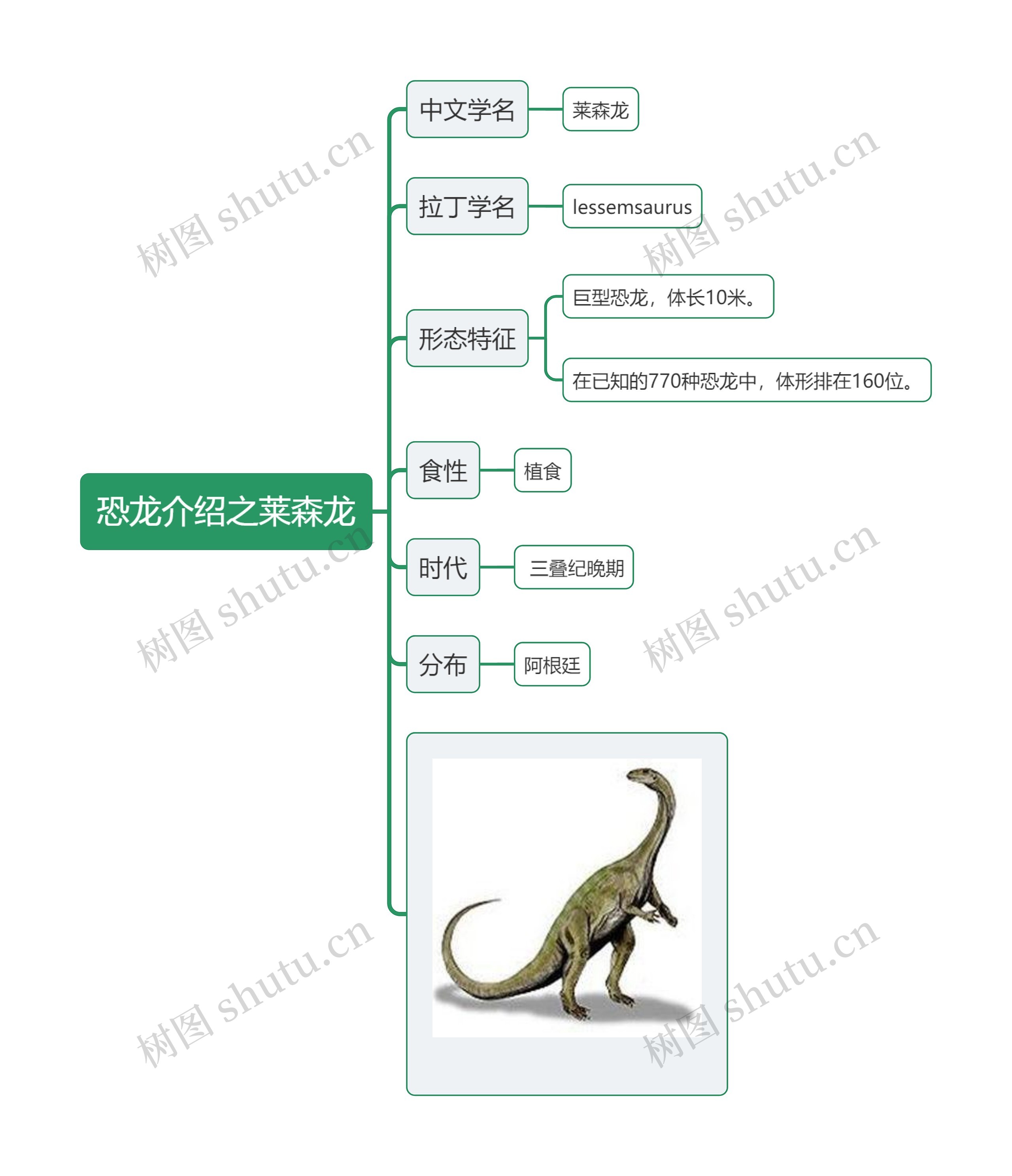 恐龙介绍之莱森龙思维导图