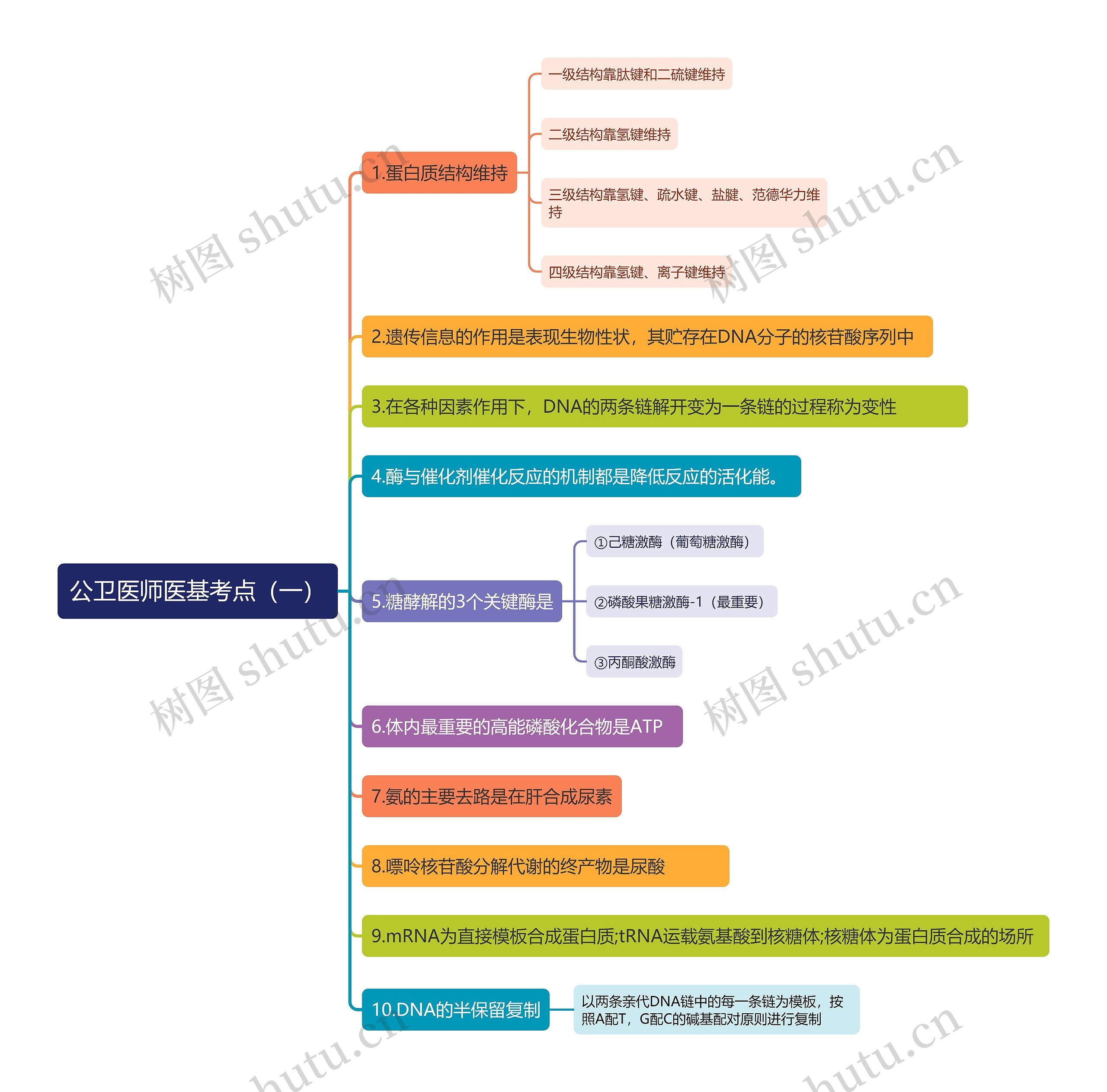 公卫医师医基考点（一）