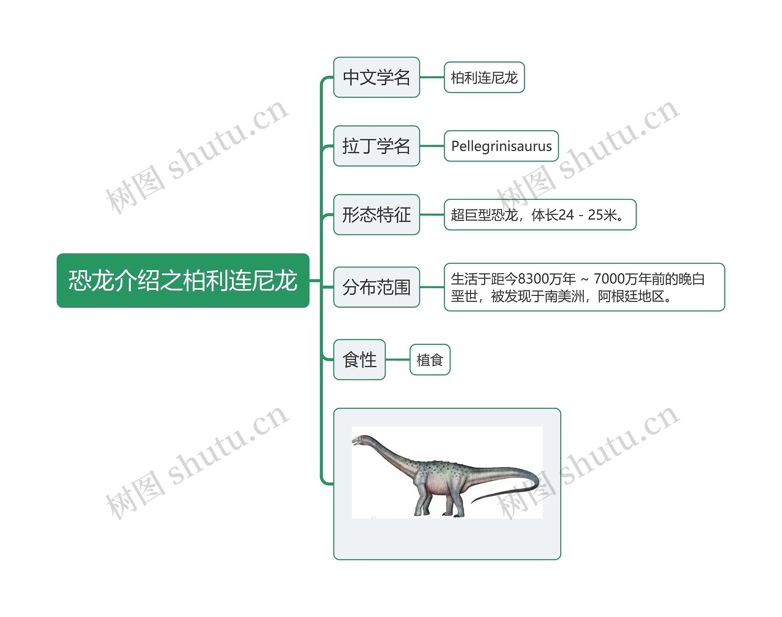 恐龙介绍之柏利连尼龙思维导图