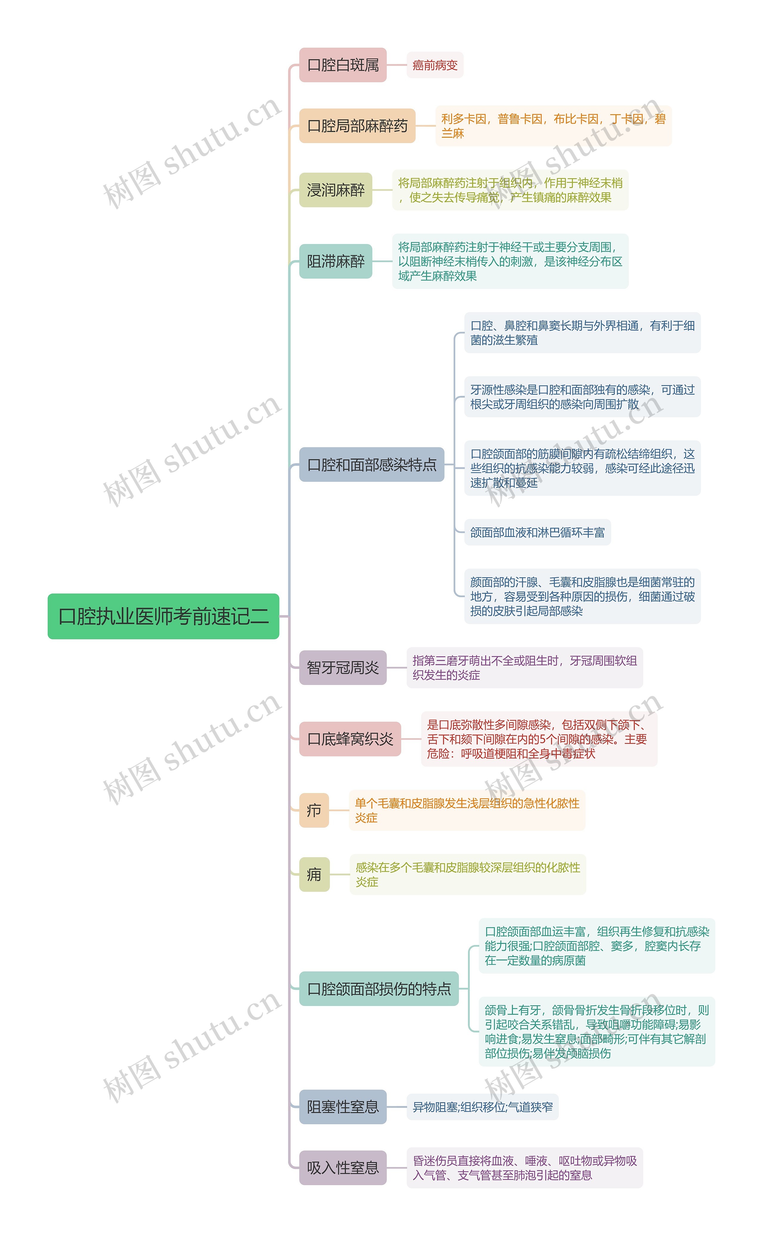 口腔执业医师考前速记二思维导图