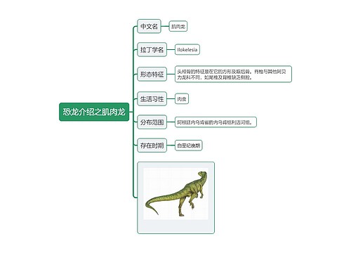 恐龙介绍之肌肉龙思维导图