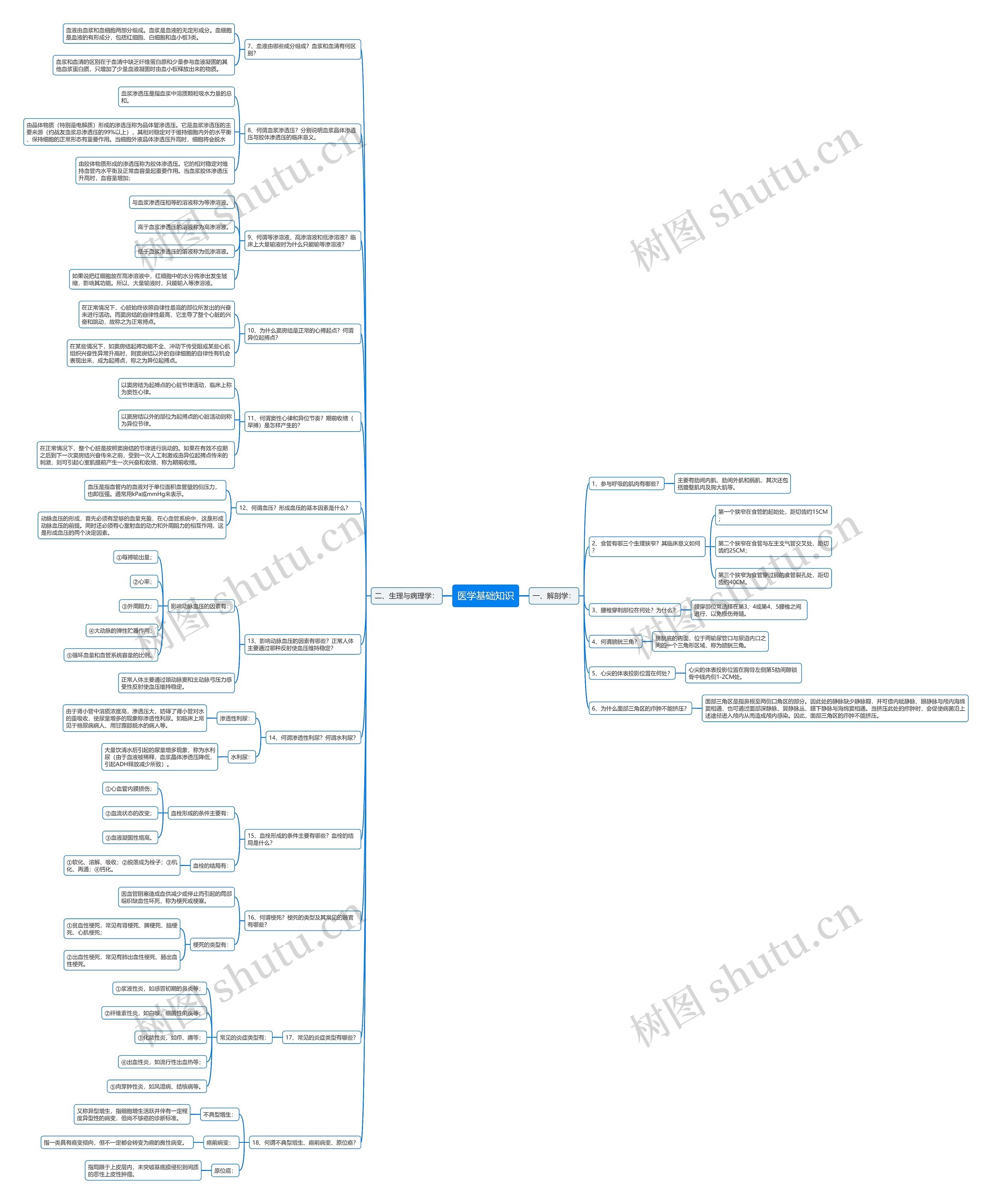 医学基础知识思维导图高清图 医学基础知识思维导图