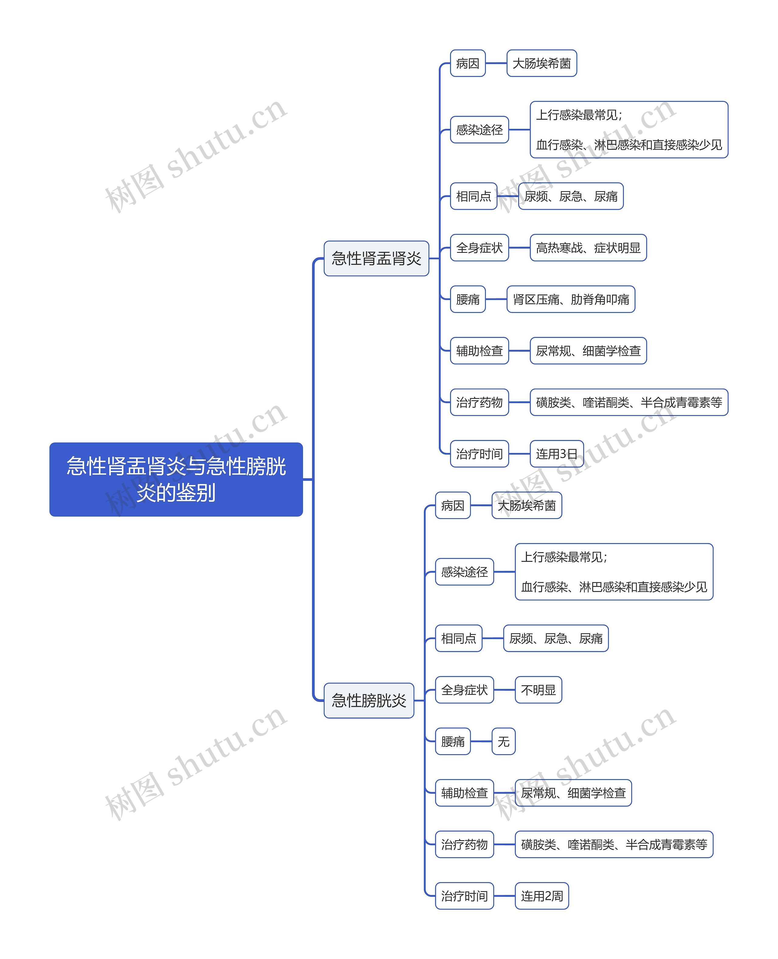 急性肾盂肾炎与急性膀胱炎的鉴别思维导图