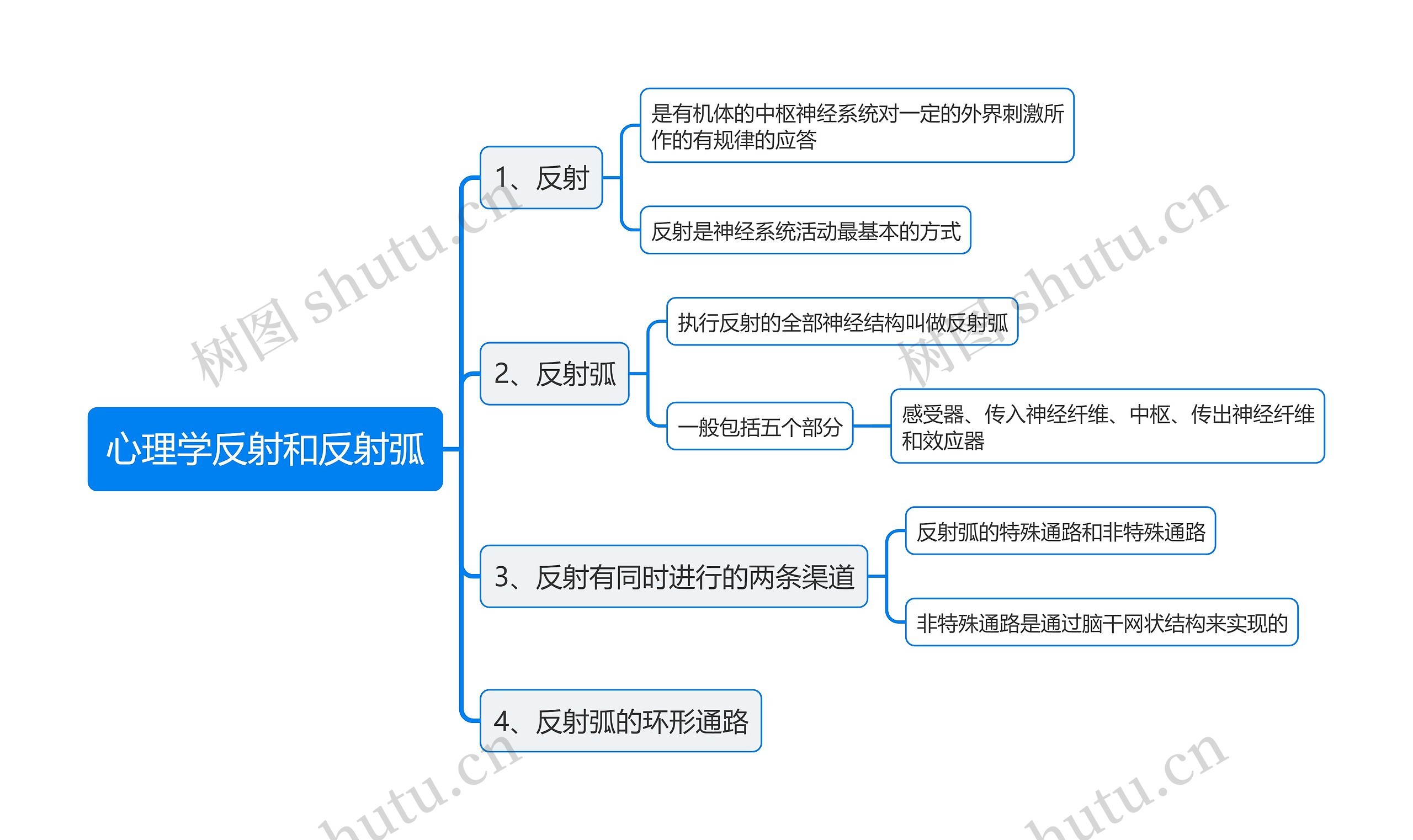 心理学反射和反射弧思维导图