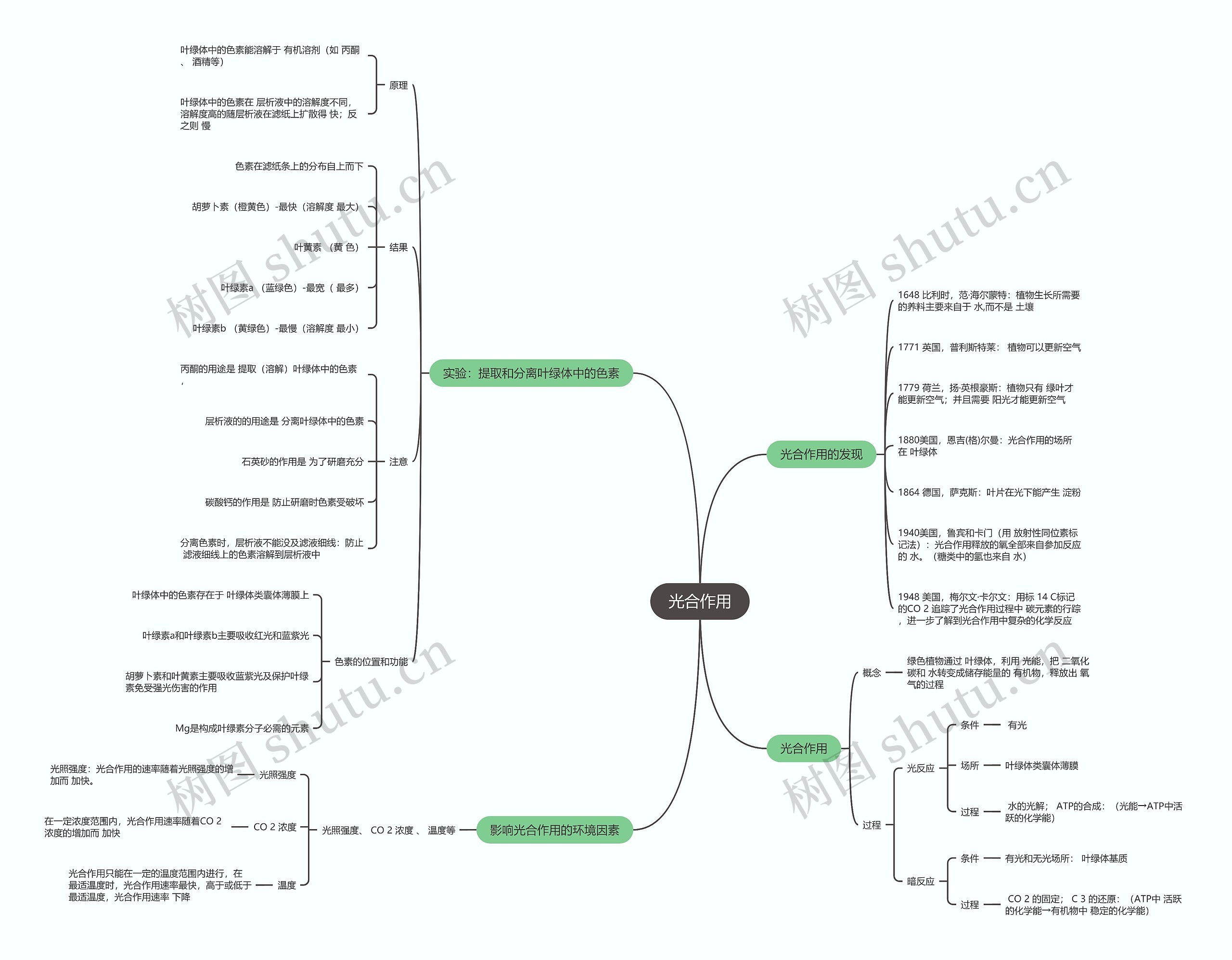 生物必修一  光合作用思维导图