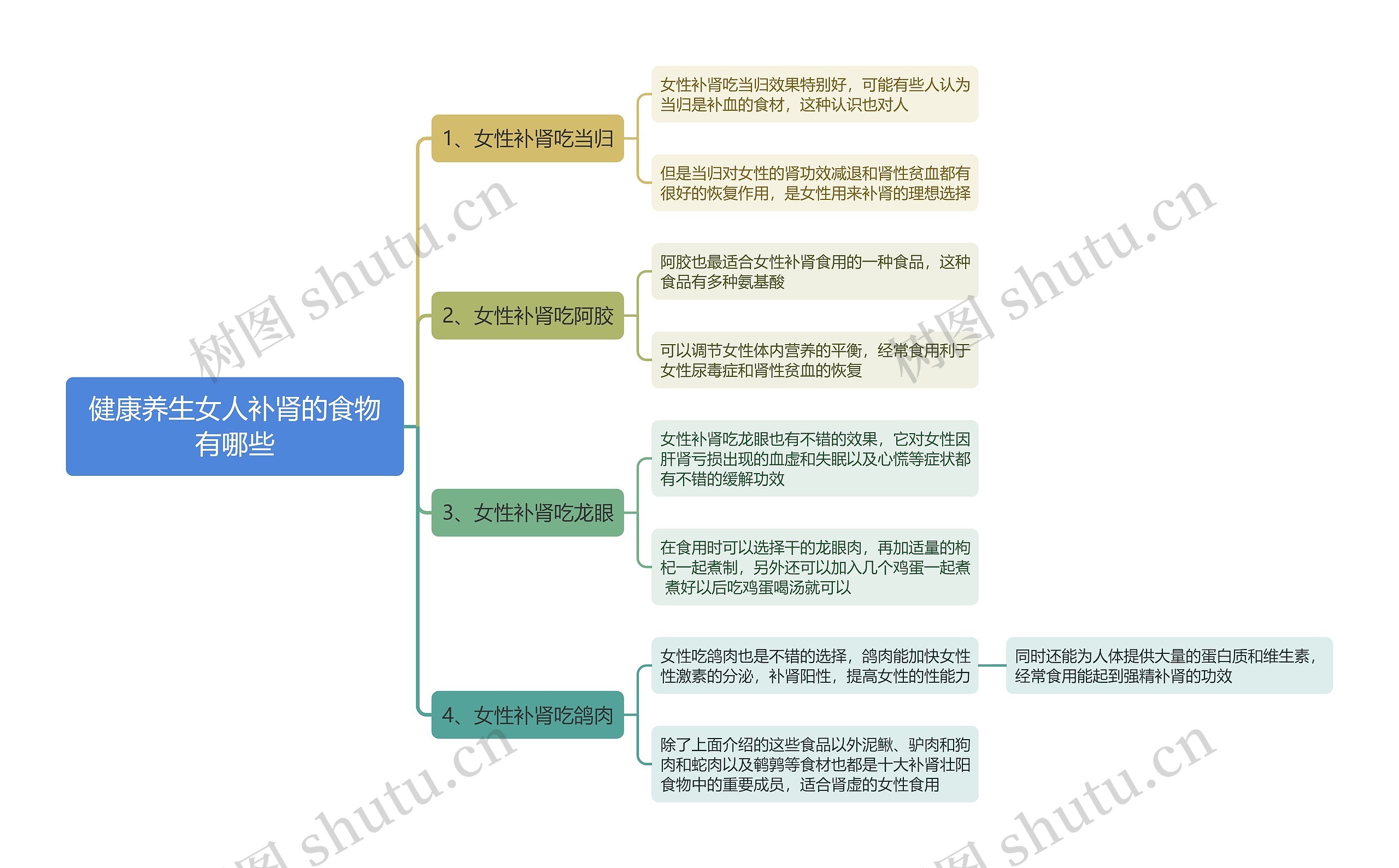 健康养生女人补肾的食物有哪些思维导图