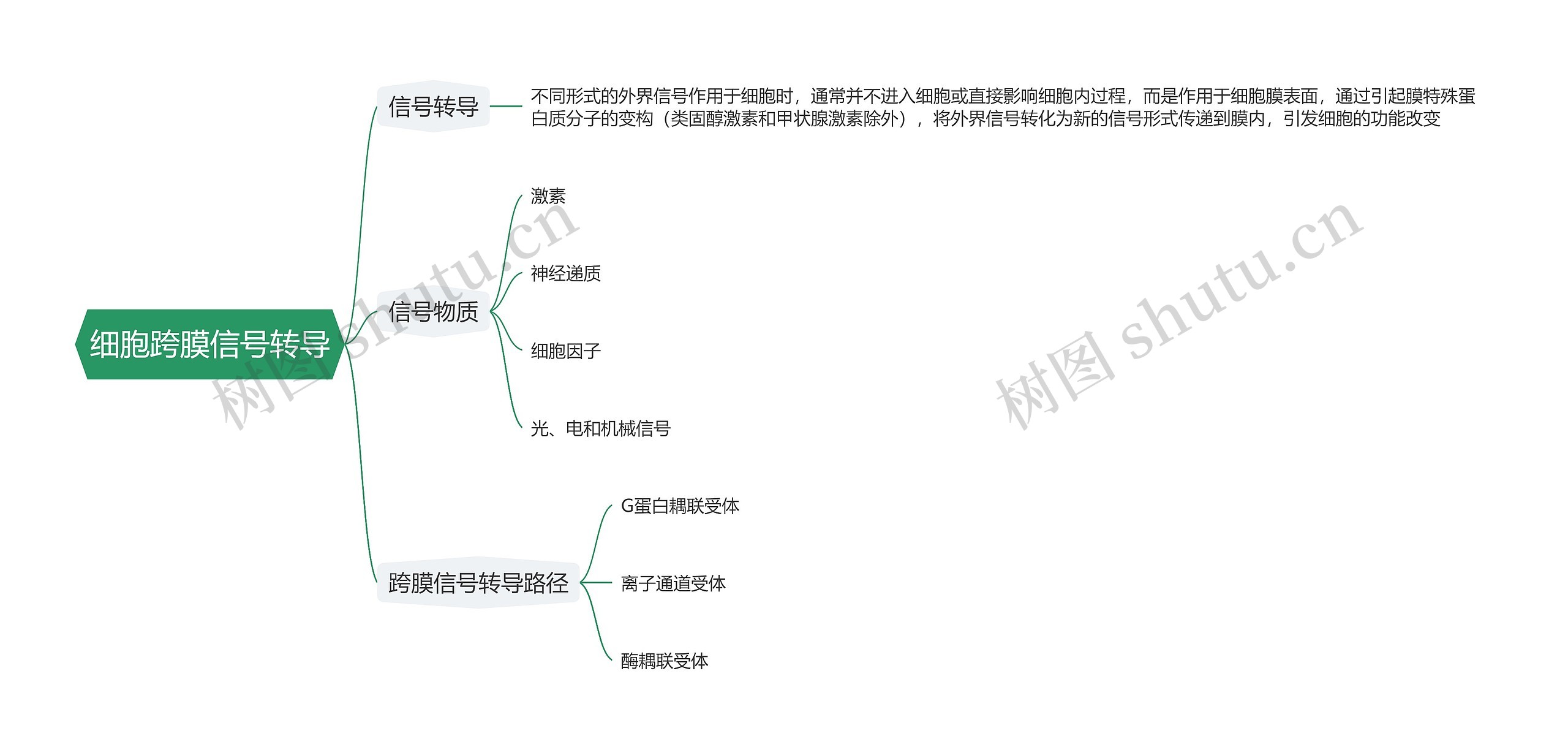 细胞跨膜信号转导思维导图