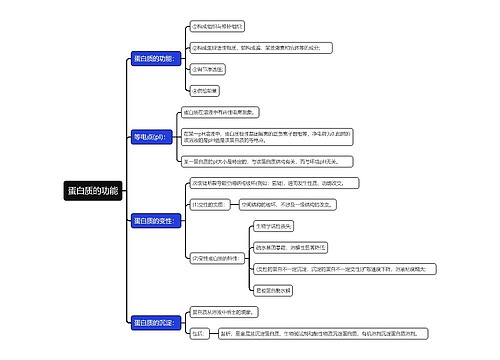 蛋白质的功能思维导图