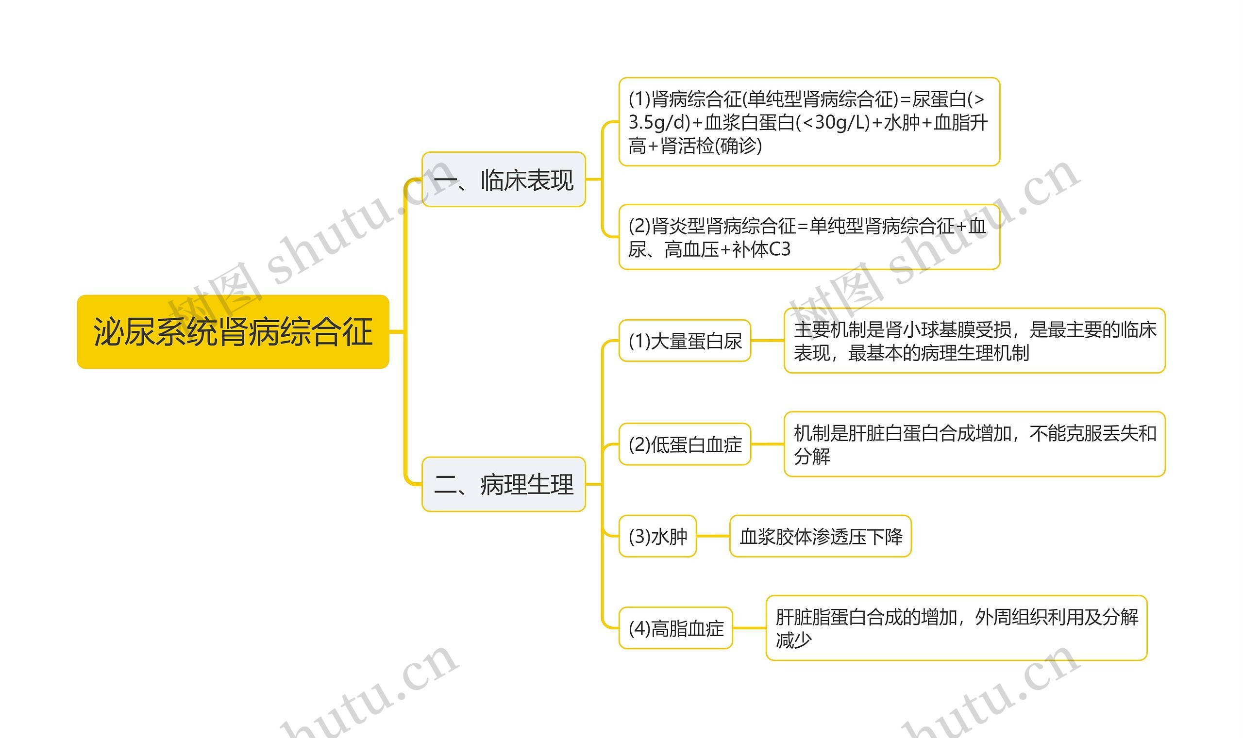 泌尿系统肾病综合征思维导图